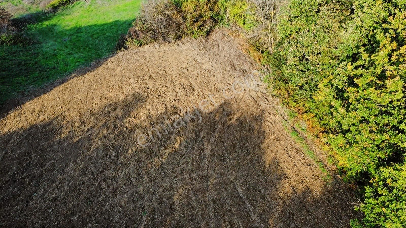 Yoldaş Emlaktan Kandırada Teksen Mah 4600 M2 Tarla - Görsel 8