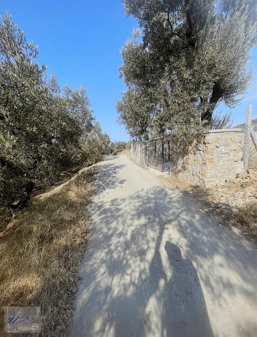 Malta'dan Deniz Manzaralı Resmî Yola Cephe Fırsat Zeytinlik - Görsel 7