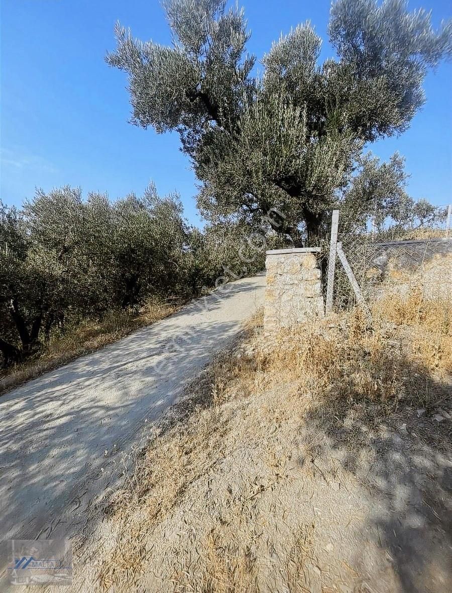 Malta'dan Deniz Manzaralı Resmî Yola Cephe Fırsat Zeytinlik - Görsel 8