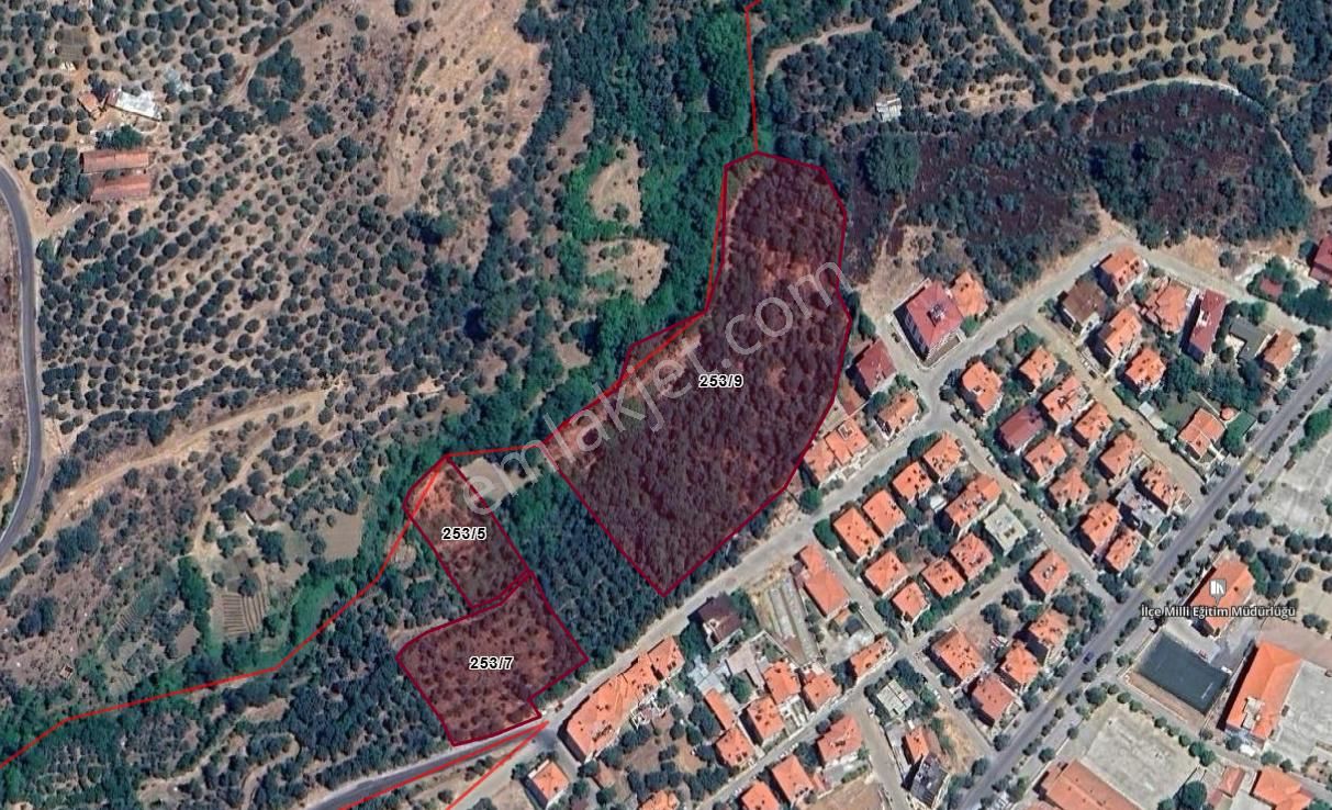 Karacasu Merkez İmar Dibi Zeytinlik 17.549 M2 - Görsel 2