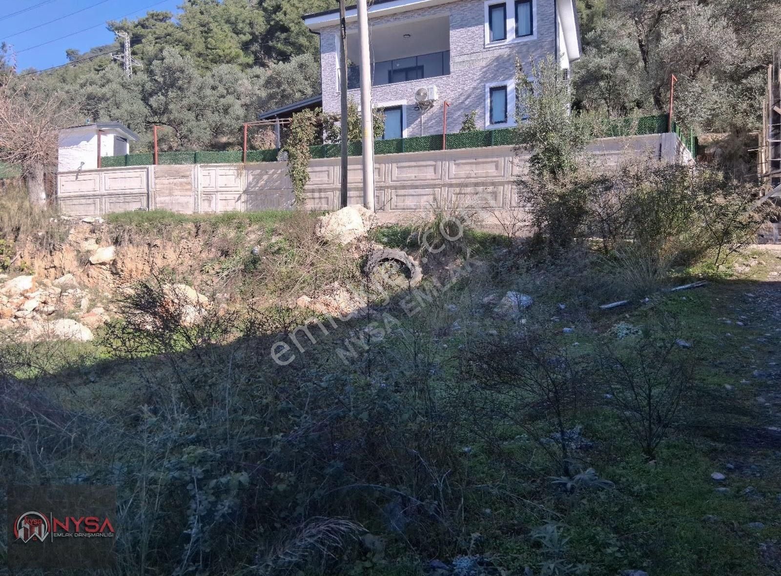 Nysa Emlak'tan Acill Zeytinalanı Mh 426 M2 Rızai Taksimli Tarla - Görsel 3