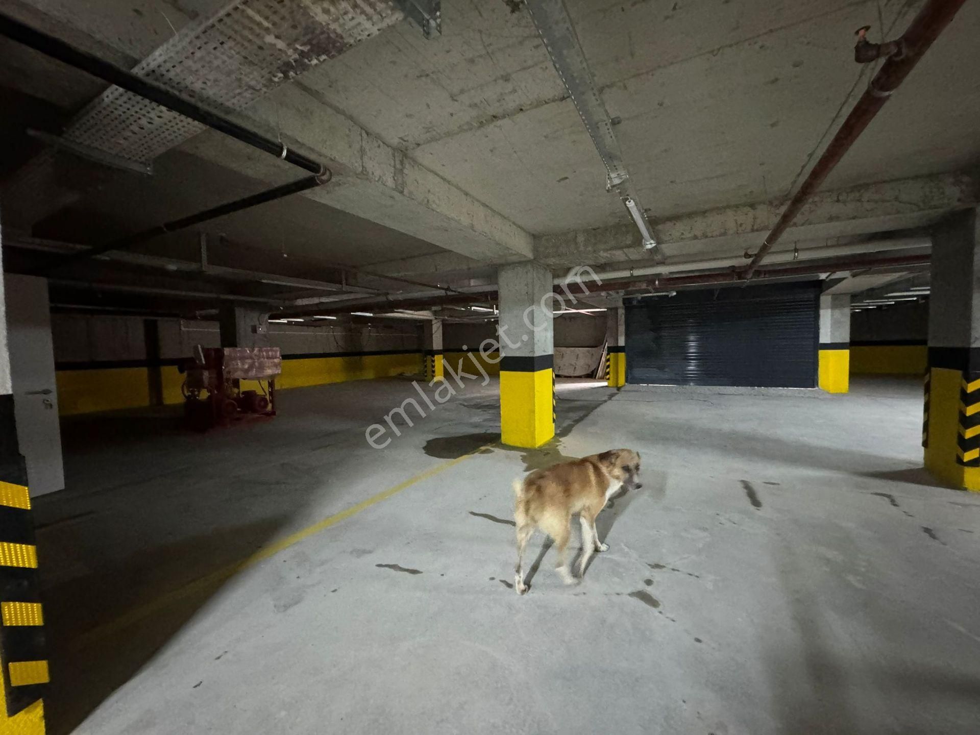 İstanbul House'dan Ömürkent Sitesinde 2+1 Bahçe Katı Daire - Görsel 21