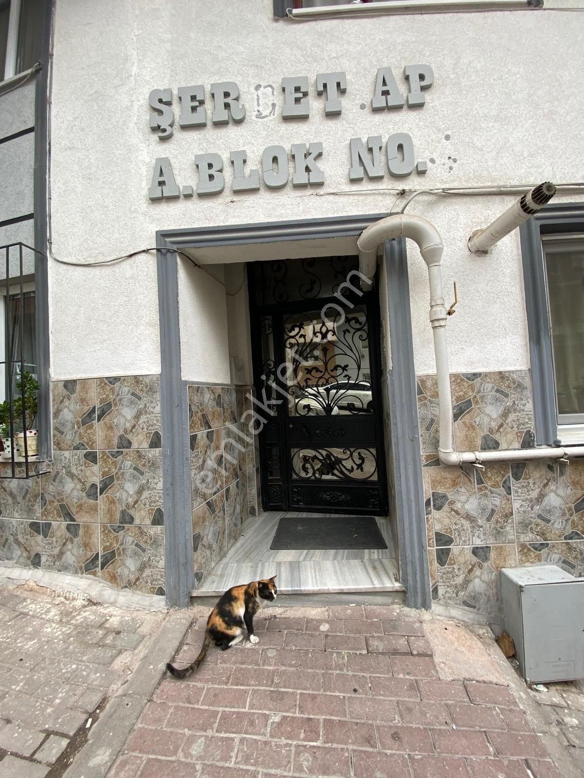 Teferrüçte Çamlık Parkı Altı | Asansörlü Geniş 3+1 Kiralık Daire - Görsel 31