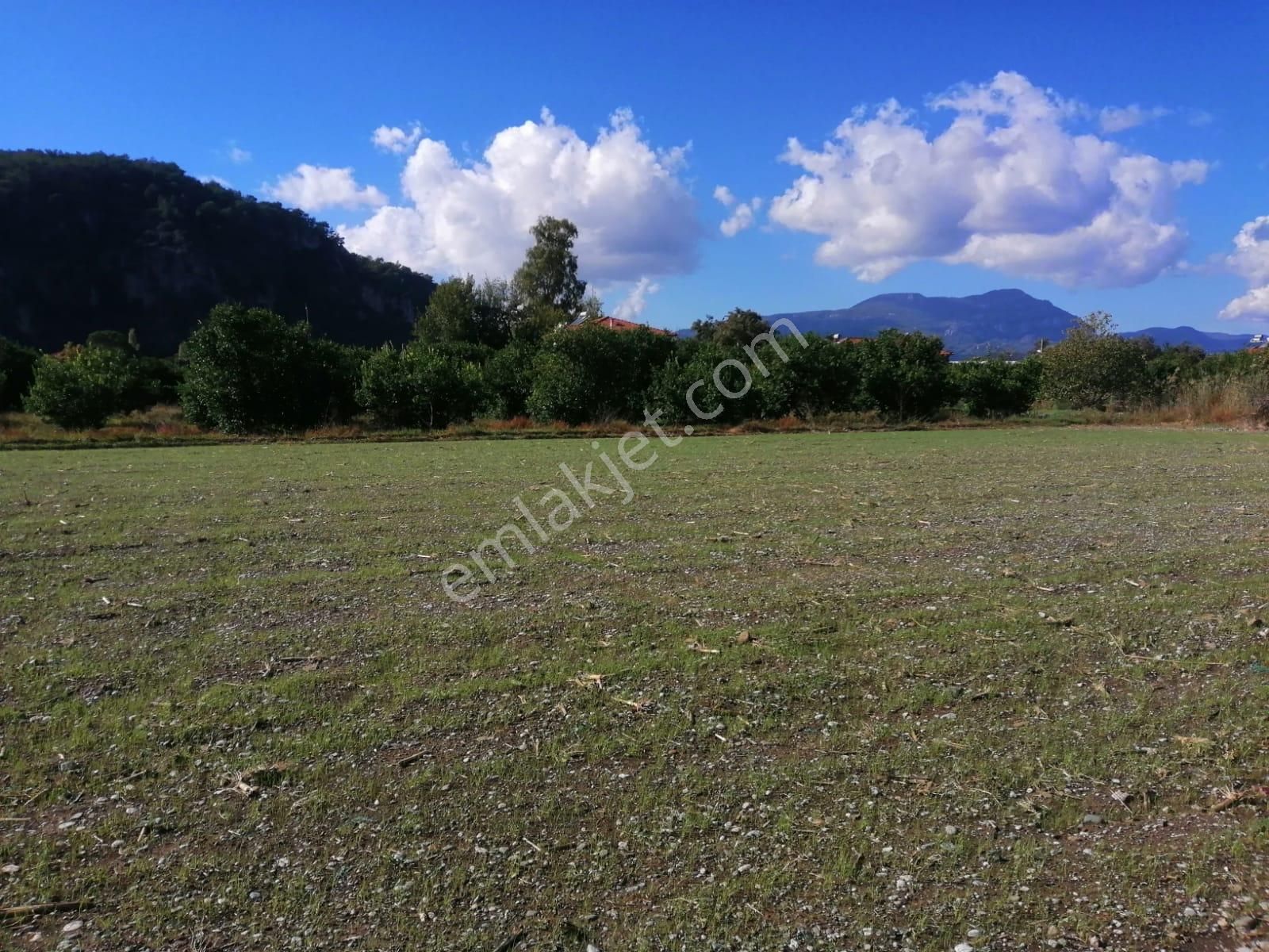 Muğla, Okçular Da 735 M2 Arsada 125+125 M2, 2 Villa Of Plandan Satılık - Görsel 4
