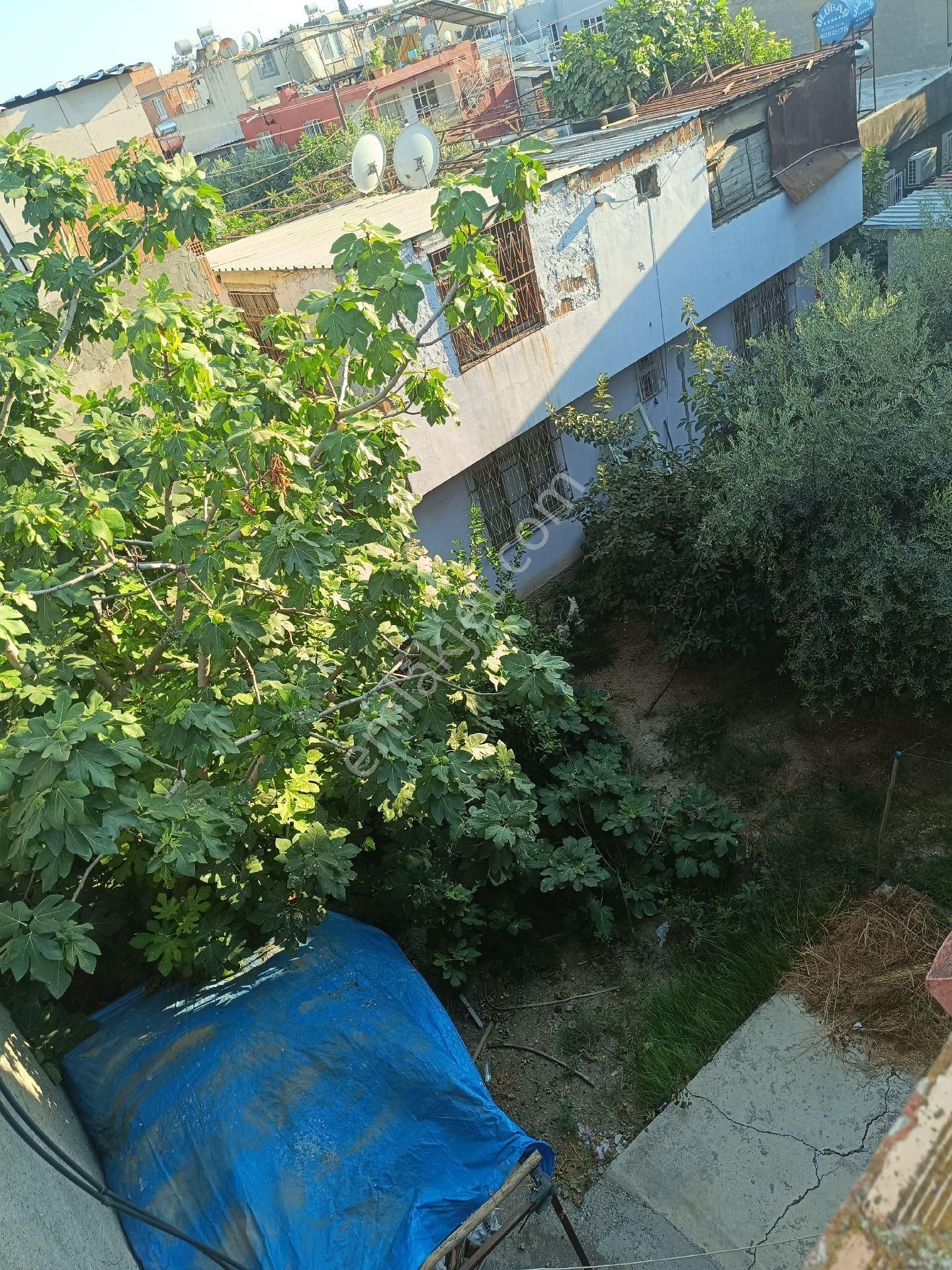 Adana Şakirpaşa Mh Satılık Müstakil Ev - Görsel 4