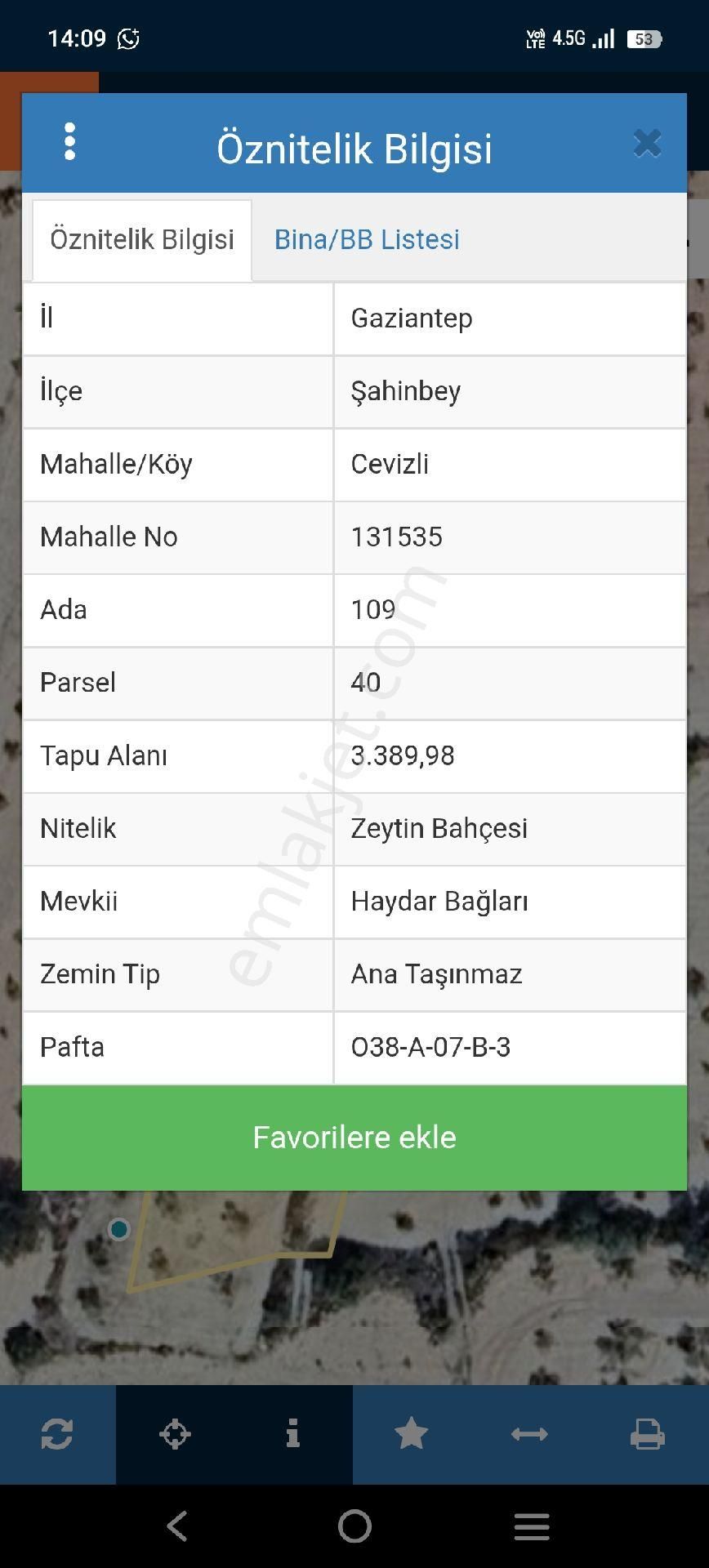 Lohan Cevizlide Satılık Zeytin - Görsel 11