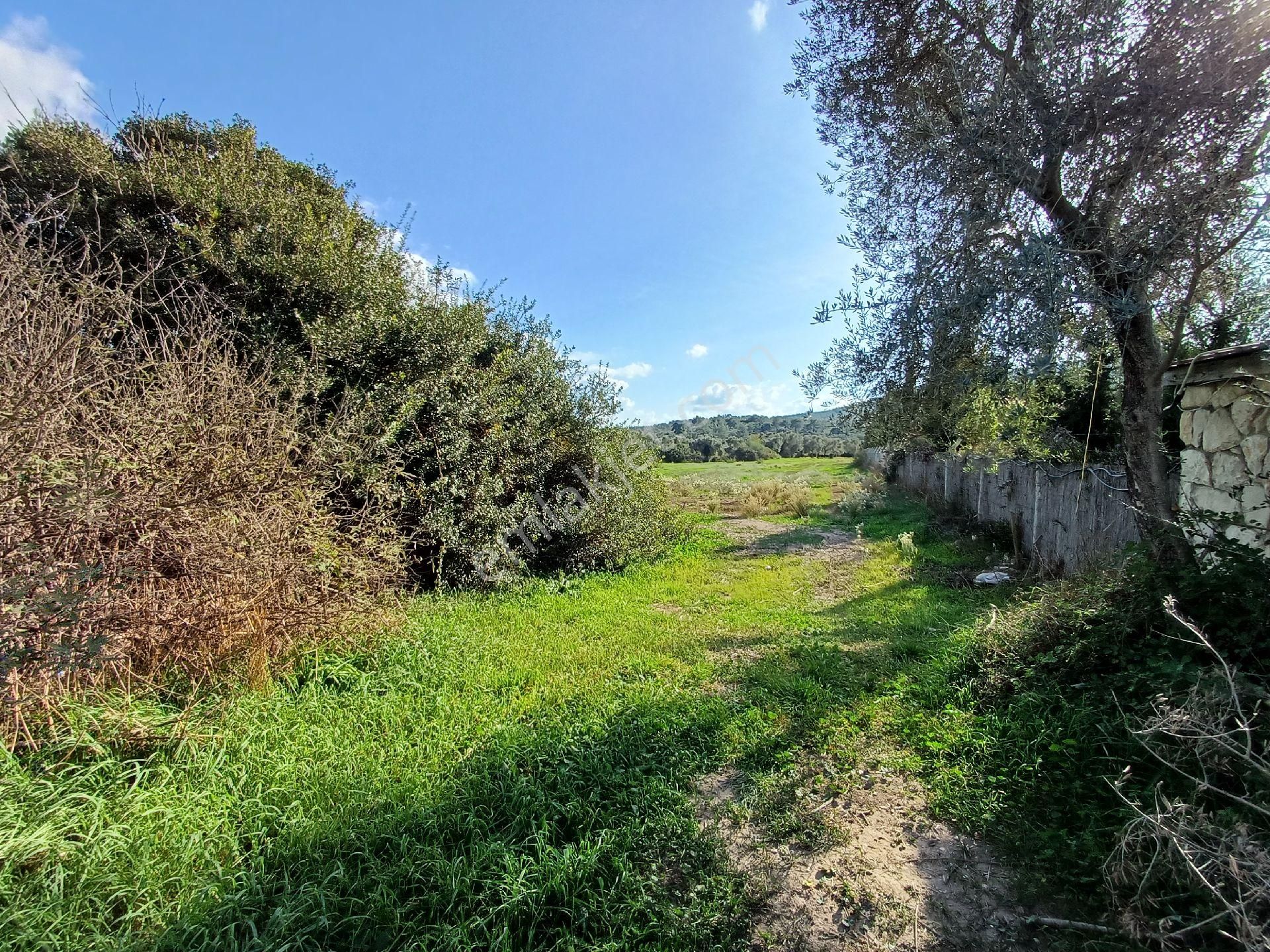 Kazikli'da Mustakil Tapulu 4600 M2 Satilik Tarla - Görsel 25