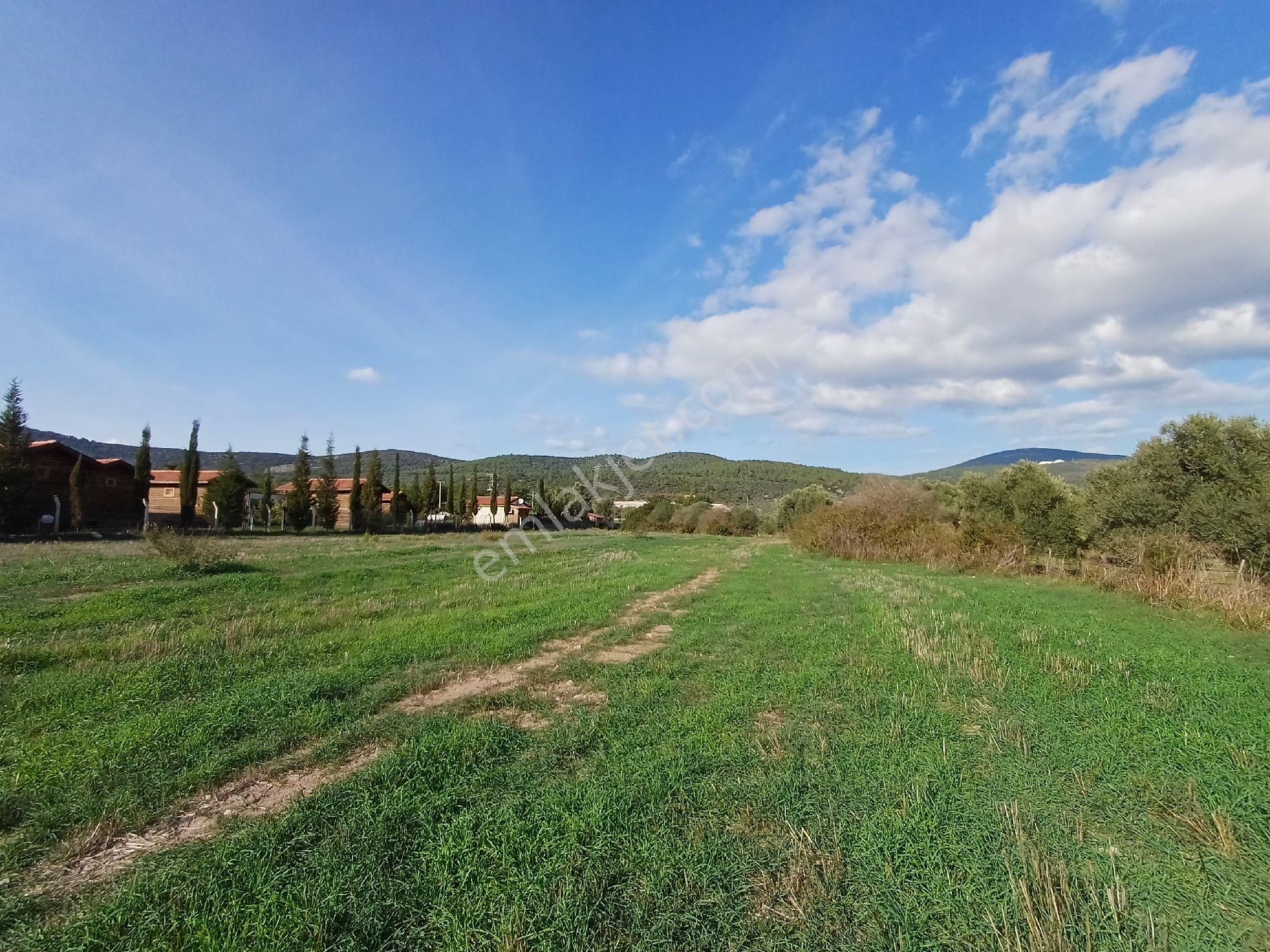 Kazikli'da Mustakil Tapulu 4600 M2 Satilik Tarla - Görsel 17