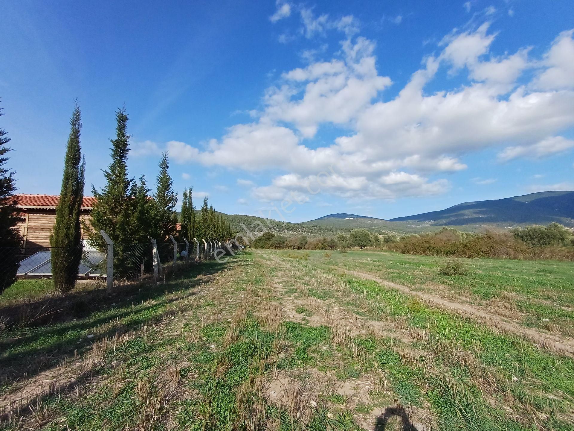 Kazikli'da Mustakil Tapulu 4600 M2 Satilik Tarla - Görsel 6