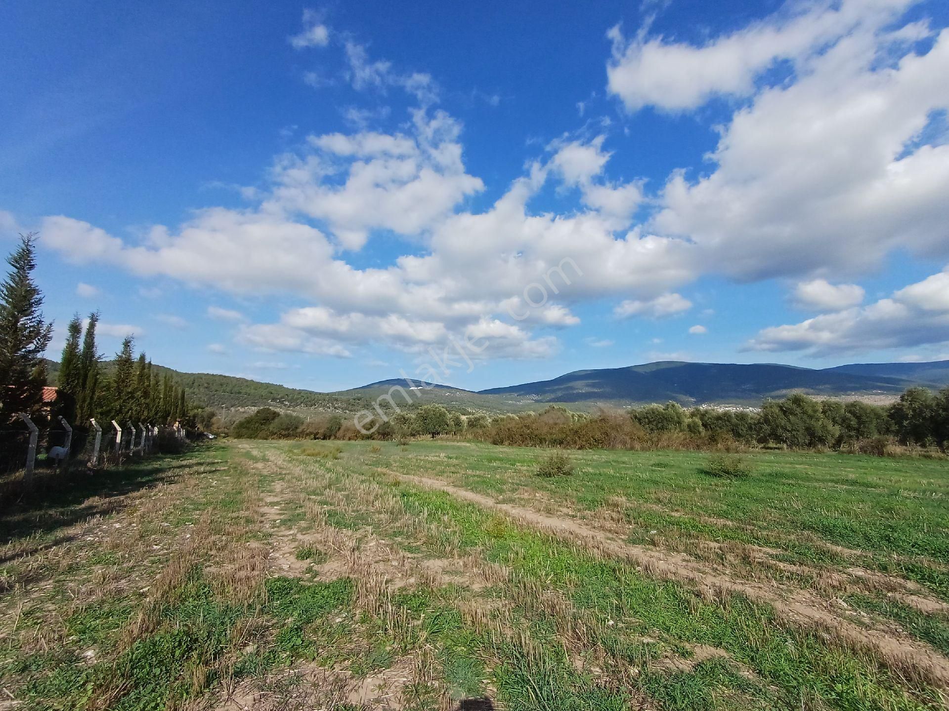 Kazikli'da Mustakil Tapulu 4600 M2 Satilik Tarla - Görsel 9