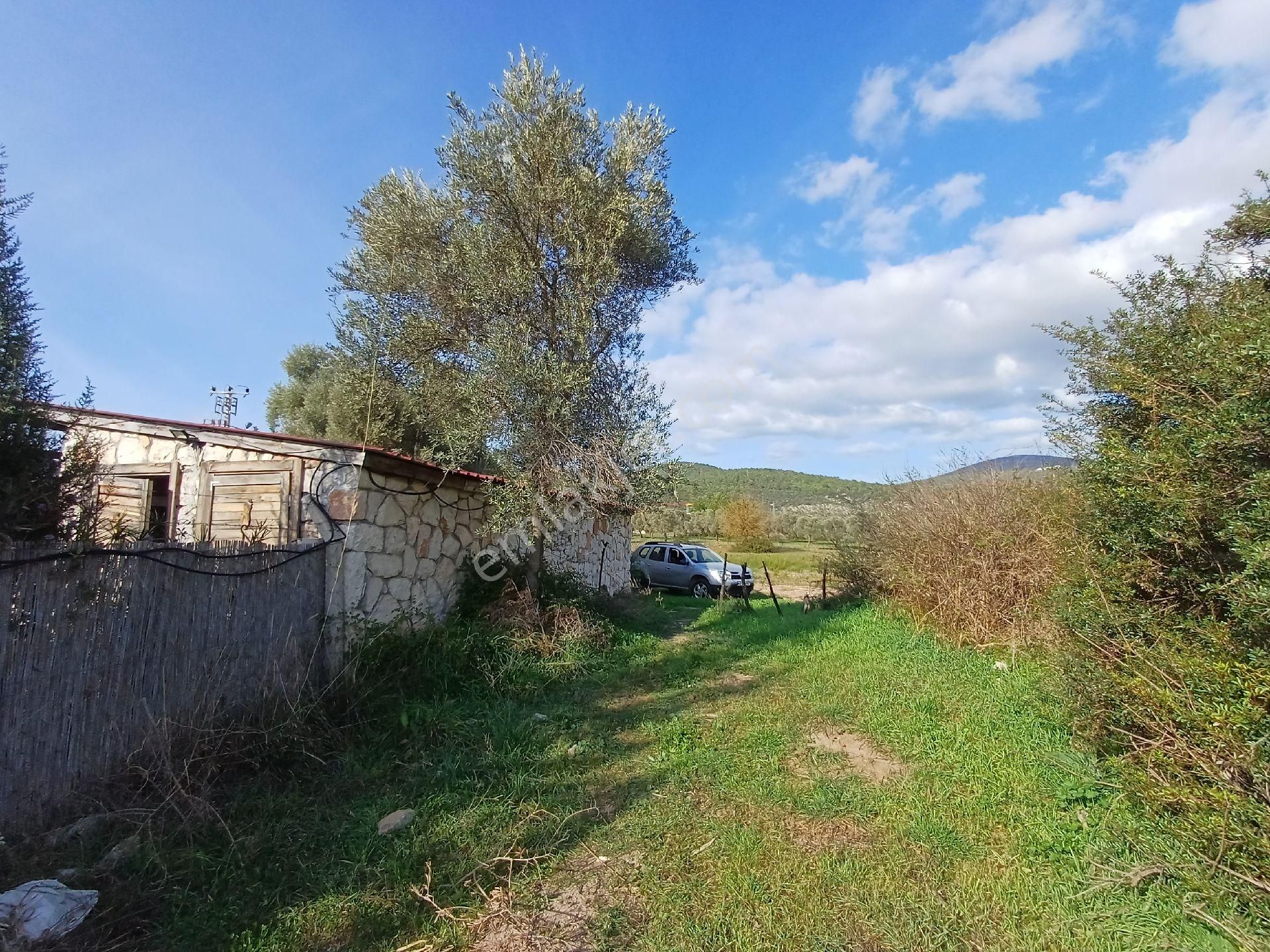 Kazikli'da Mustakil Tapulu 4600 M2 Satilik Tarla - Görsel 23