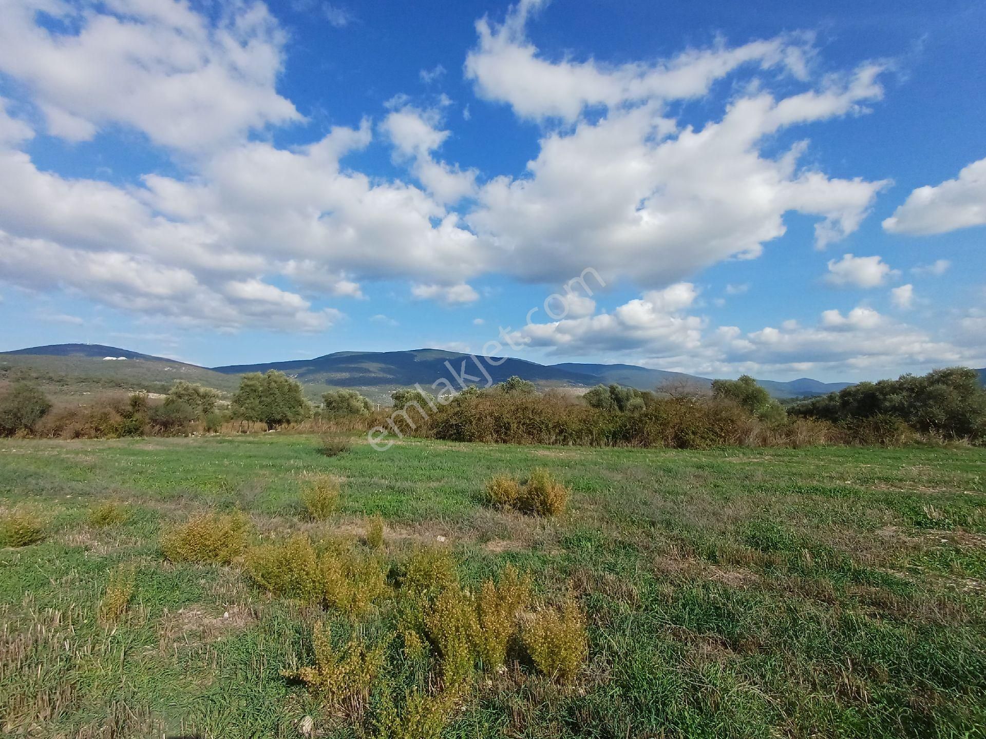 Kazikli'da Mustakil Tapulu 4600 M2 Satilik Tarla