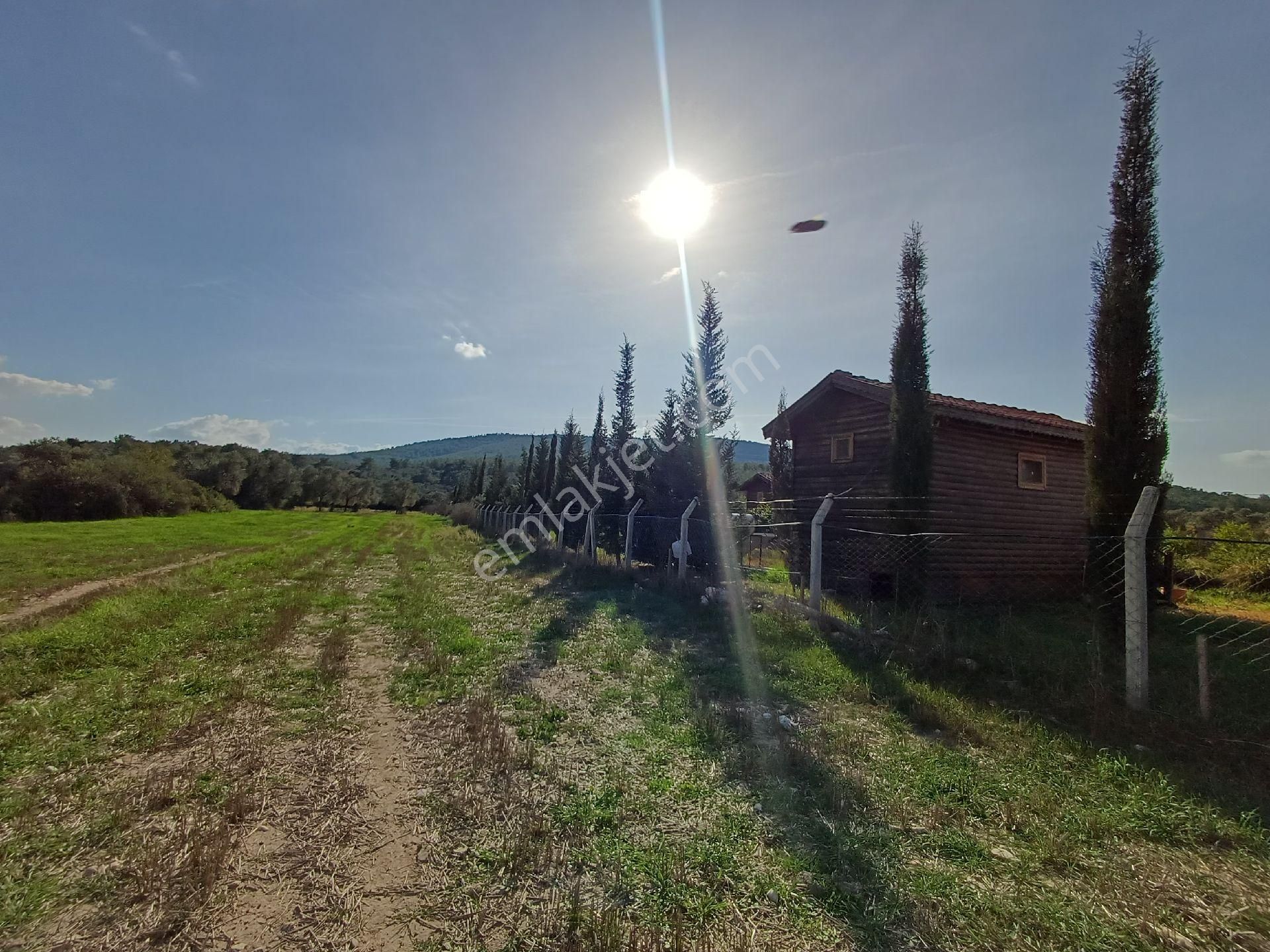 Kazikli'da Mustakil Tapulu 4600 M2 Satilik Tarla - Görsel 5