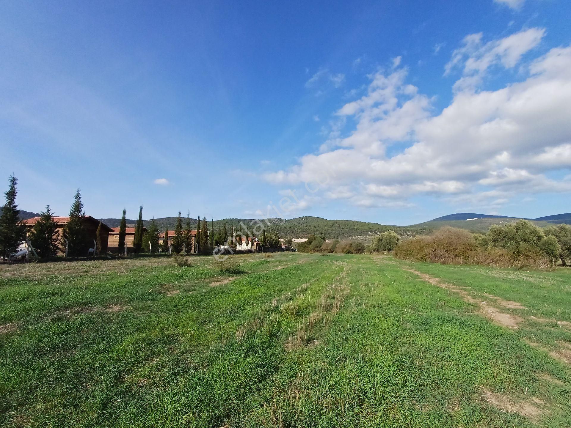 Kazikli'da Mustakil Tapulu 4600 M2 Satilik Tarla - Görsel 13