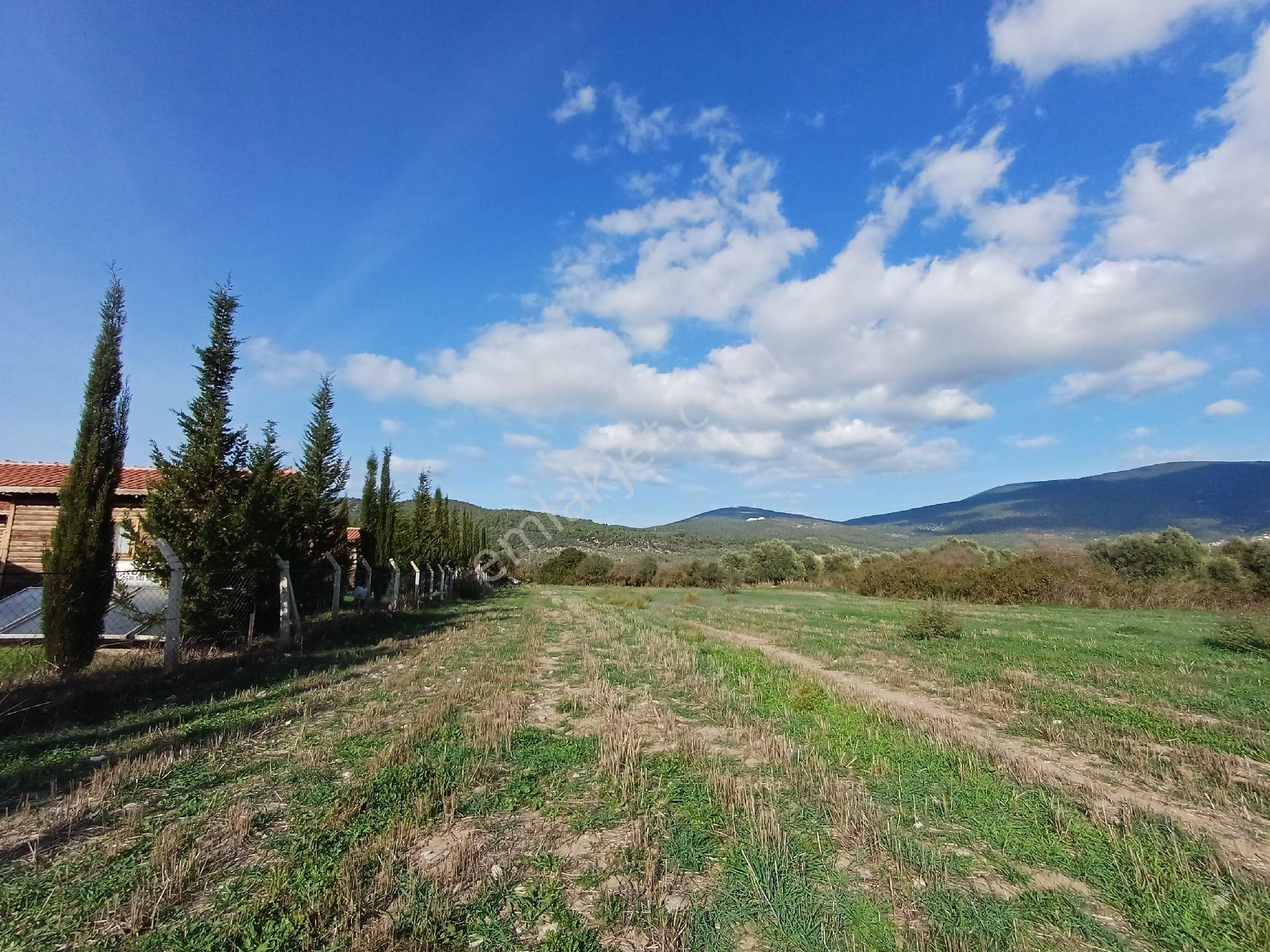 Kazikli'da Mustakil Tapulu 4600 M2 Satilik Tarla - Görsel 7