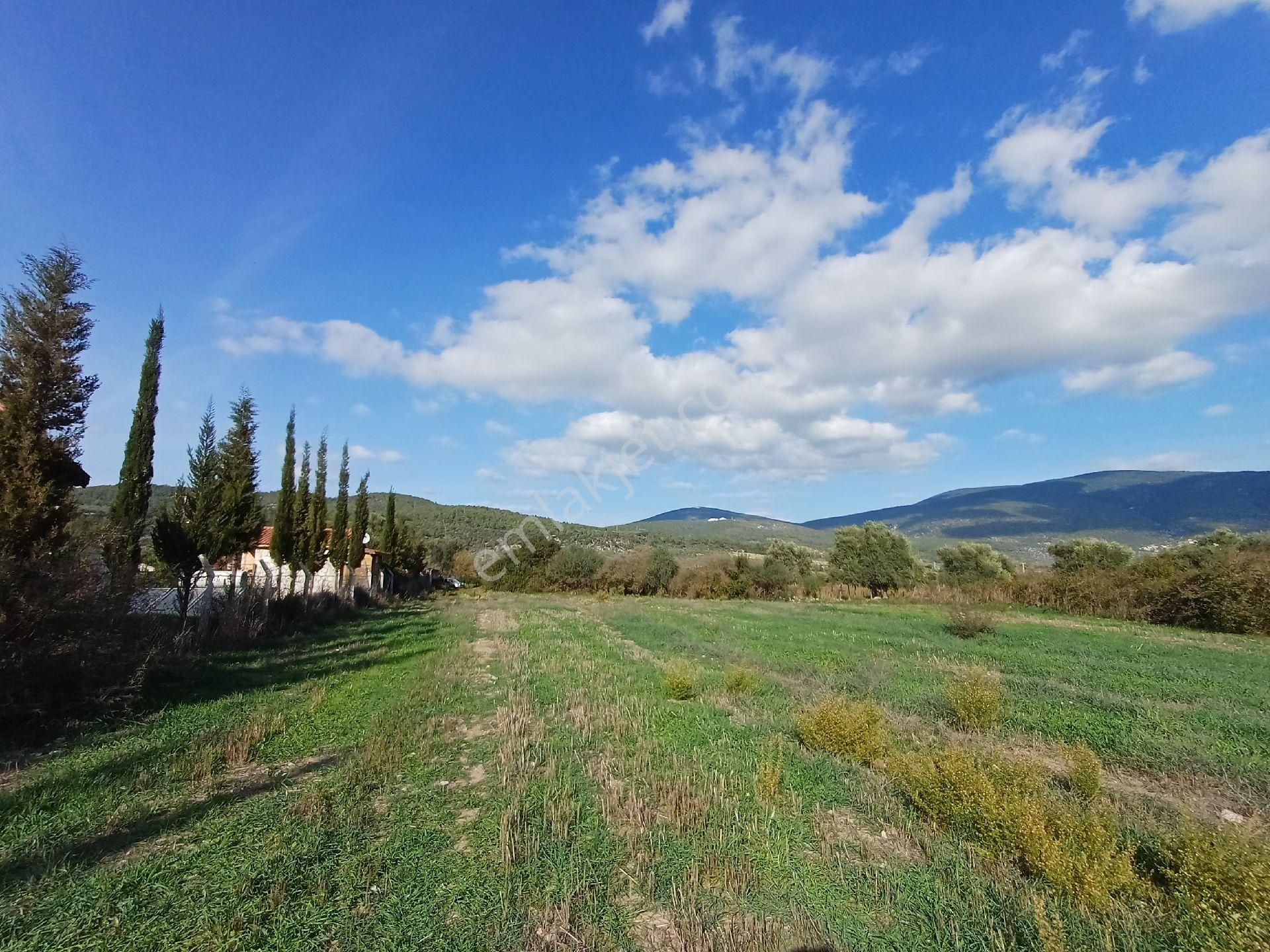 Kazikli'da Mustakil Tapulu 4600 M2 Satilik Tarla - Görsel 3