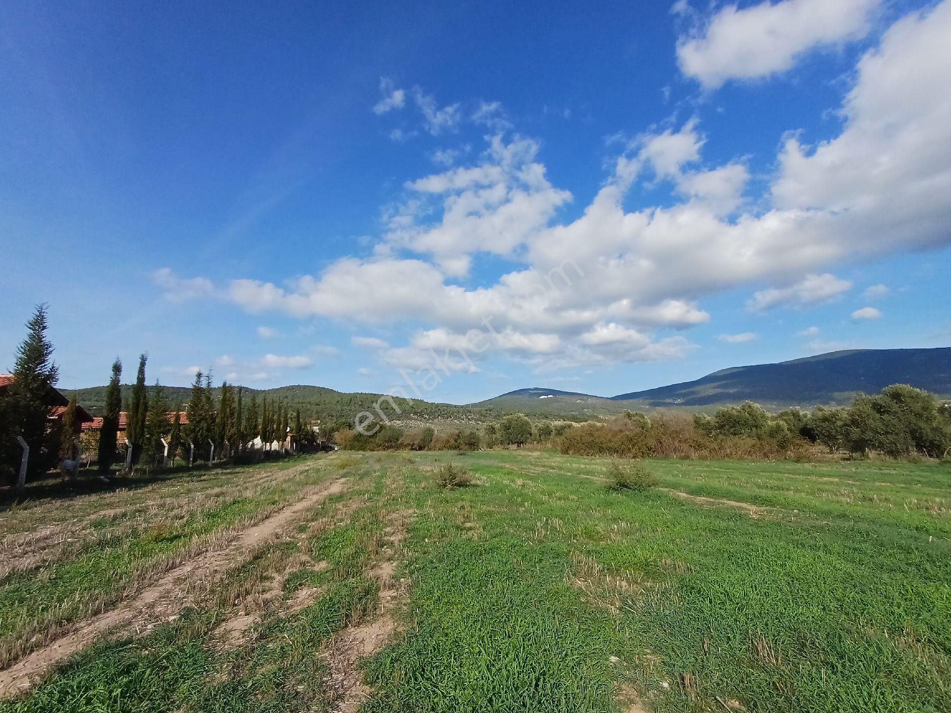 Kazikli'da Mustakil Tapulu 4600 M2 Satilik Tarla - Görsel 11