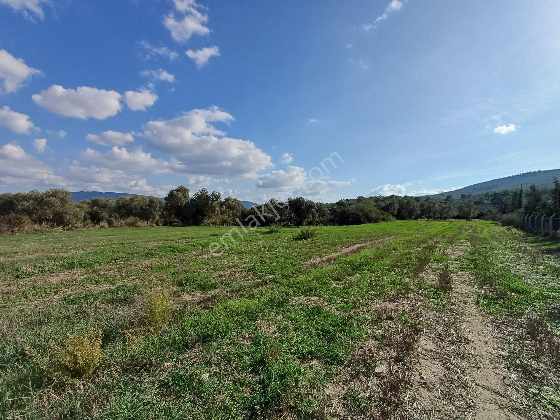 Kazikli'da Mustakil Tapulu 4600 M2 Satilik Tarla - Görsel 2