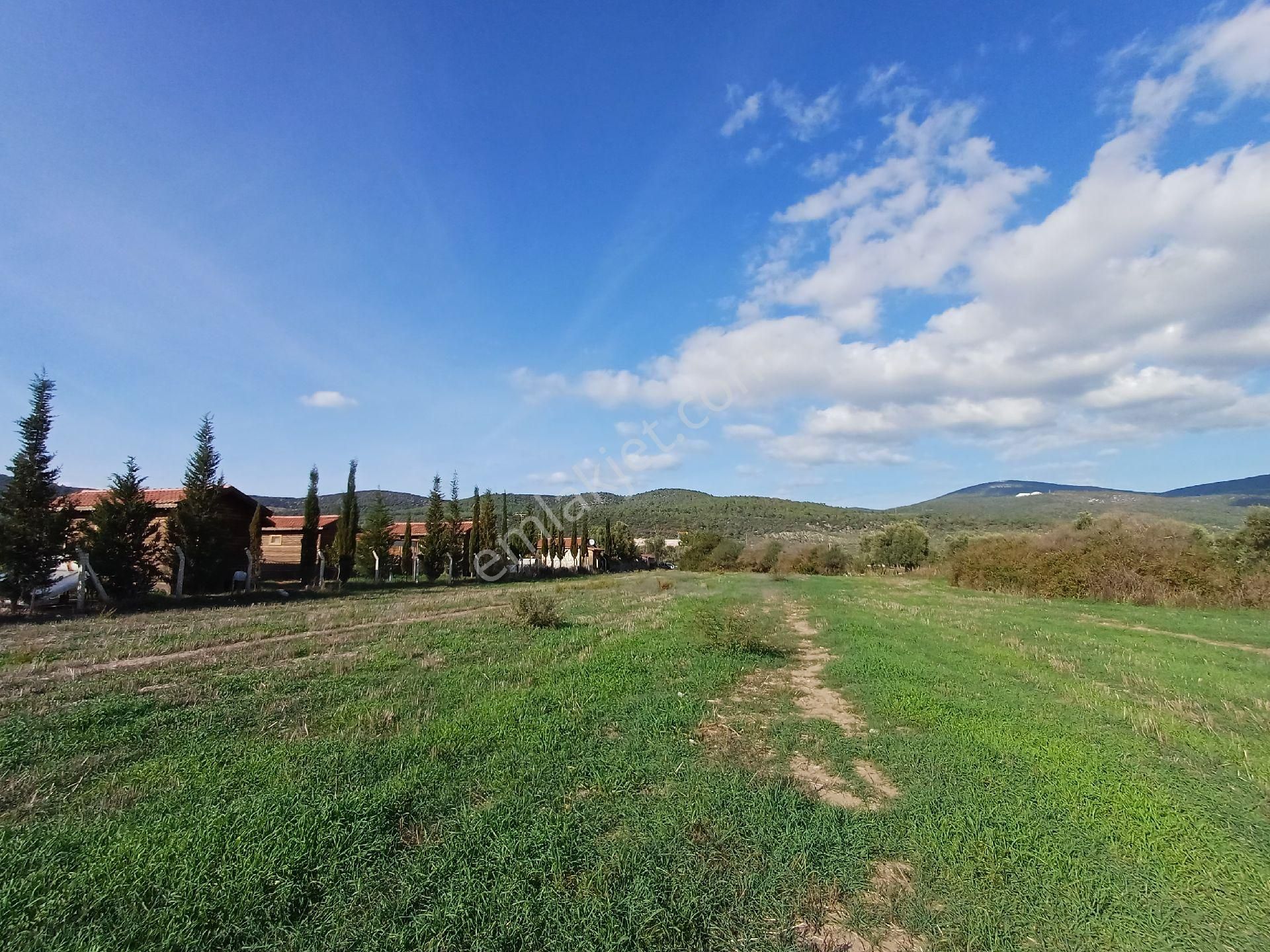 Kazikli'da Mustakil Tapulu 4600 M2 Satilik Tarla - Görsel 12