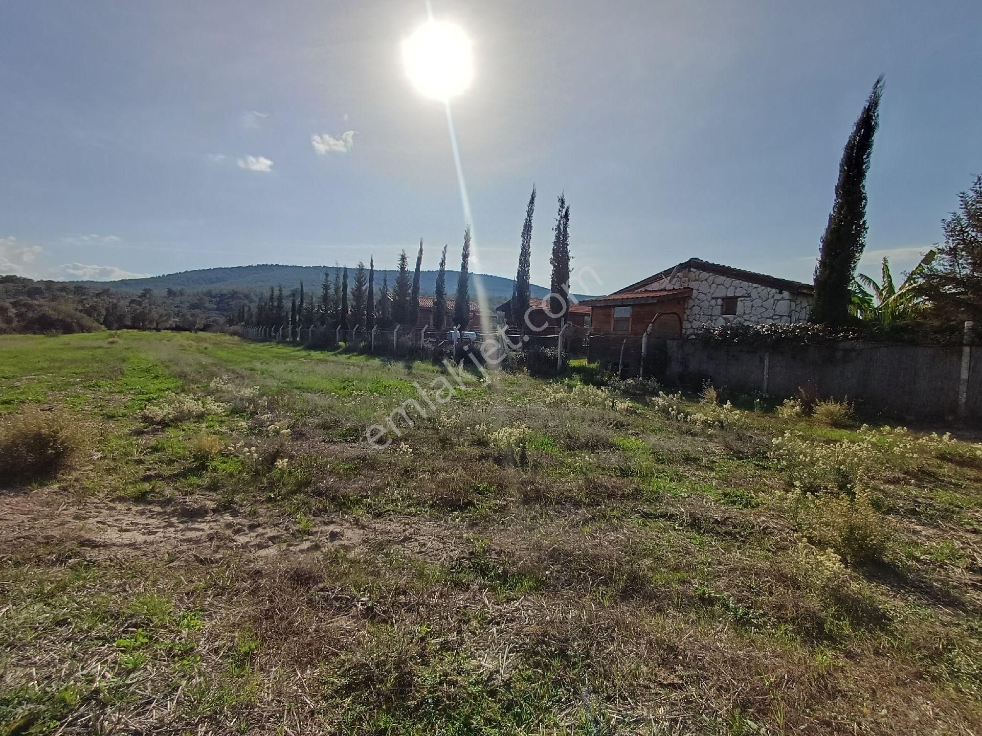 Kazikli'da Mustakil Tapulu 4600 M2 Satilik Tarla - Görsel 22