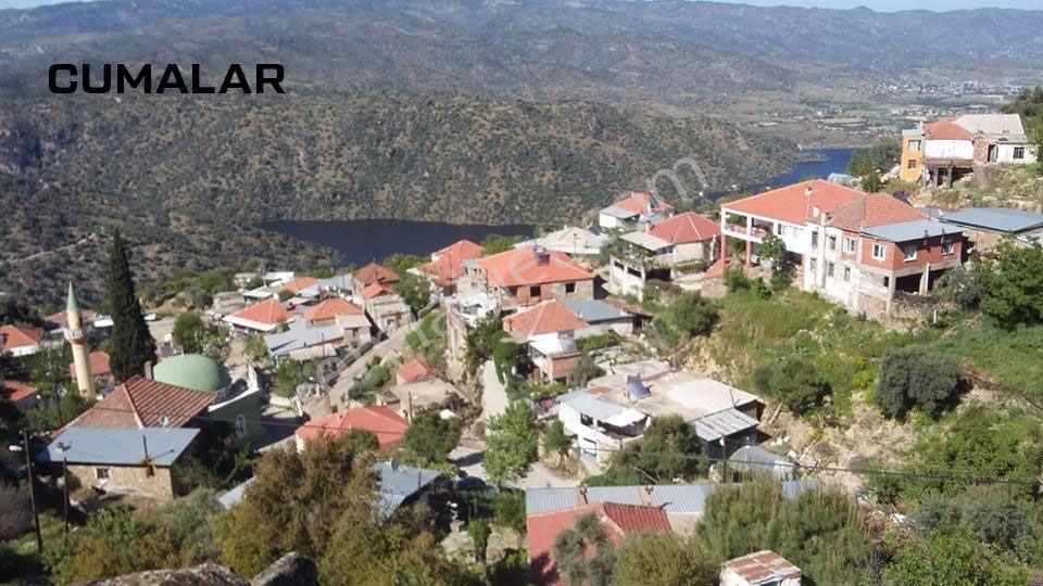 Aydın Karpuzlu Cumalar Satılık 40m2 Zeytinlik - Görsel 19