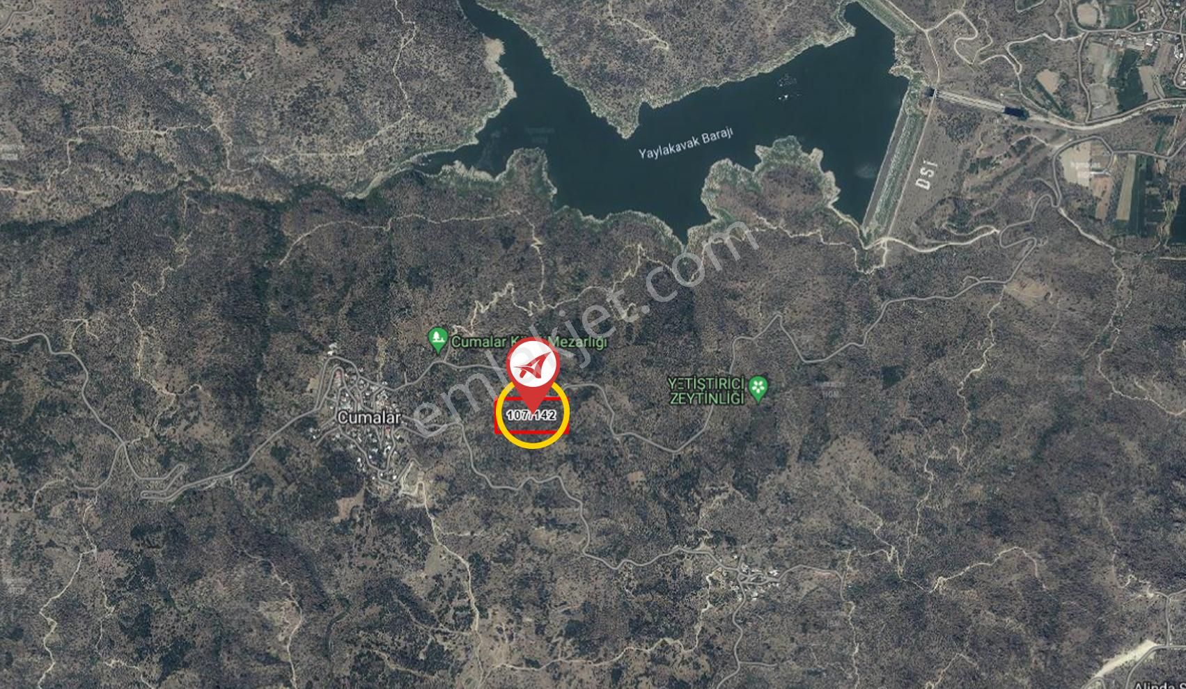 Aydın Karpuzlu Cumalar Satılık 40m2 Zeytinlik - Görsel 11