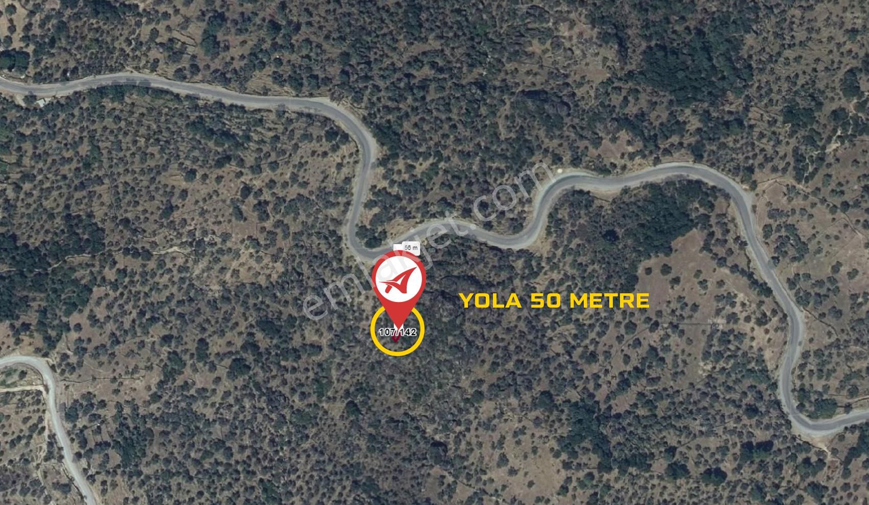 Aydın Karpuzlu Cumalar Satılık 40m2 Zeytinlik - Görsel 14