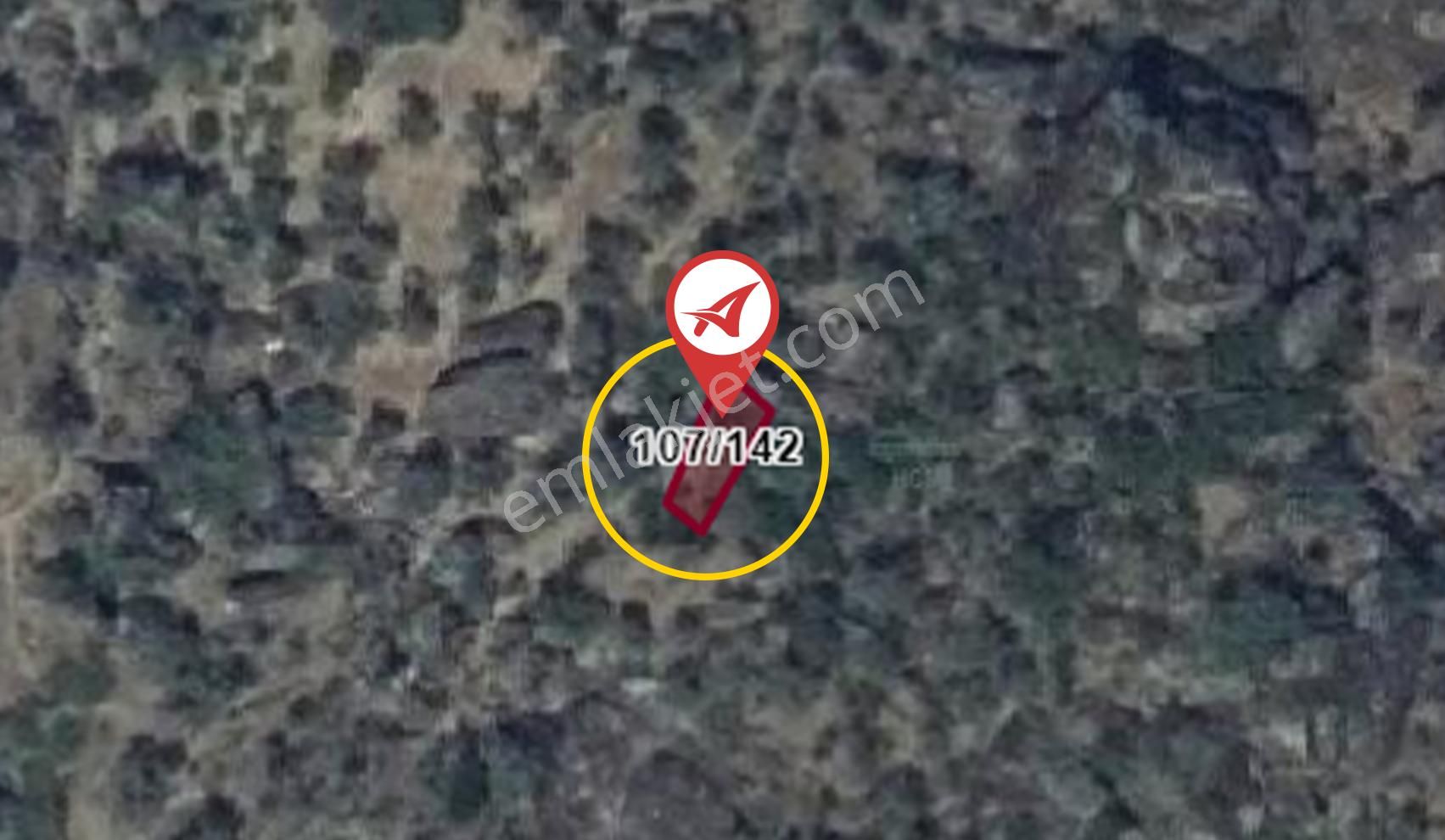 Aydın Karpuzlu Cumalar Satılık 40m2 Zeytinlik - Görsel 9