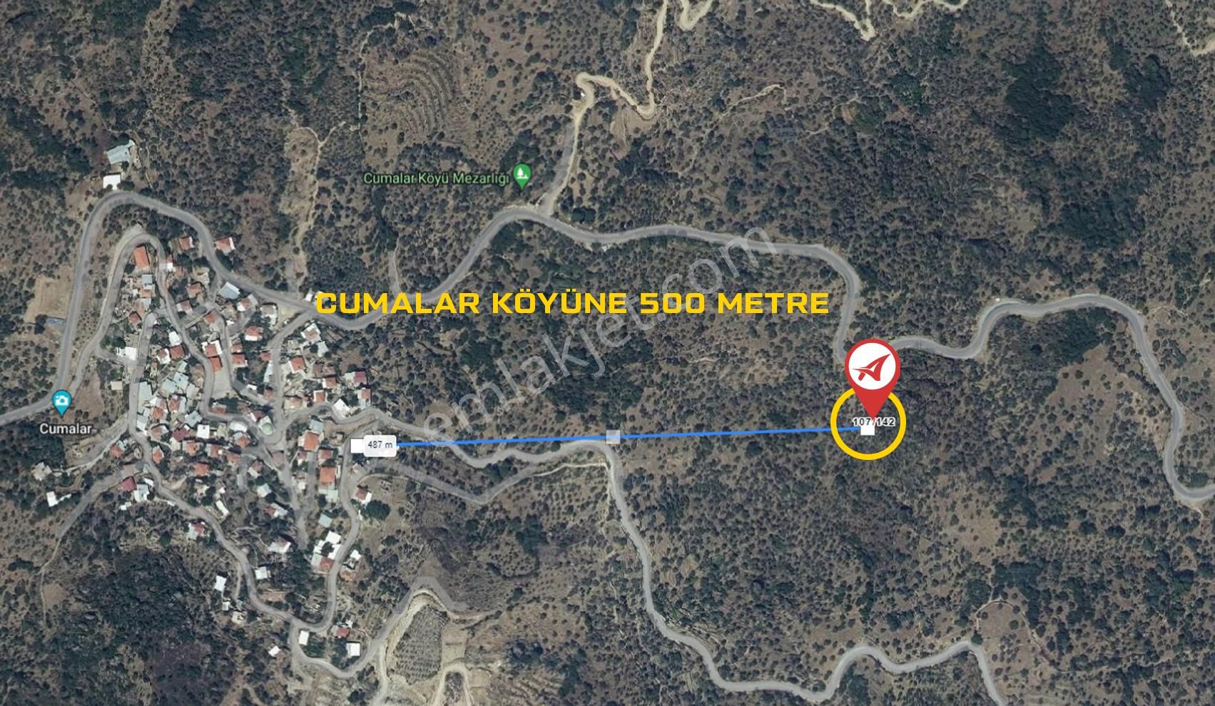 Aydın Karpuzlu Cumalar Satılık 40m2 Zeytinlik - Görsel 12