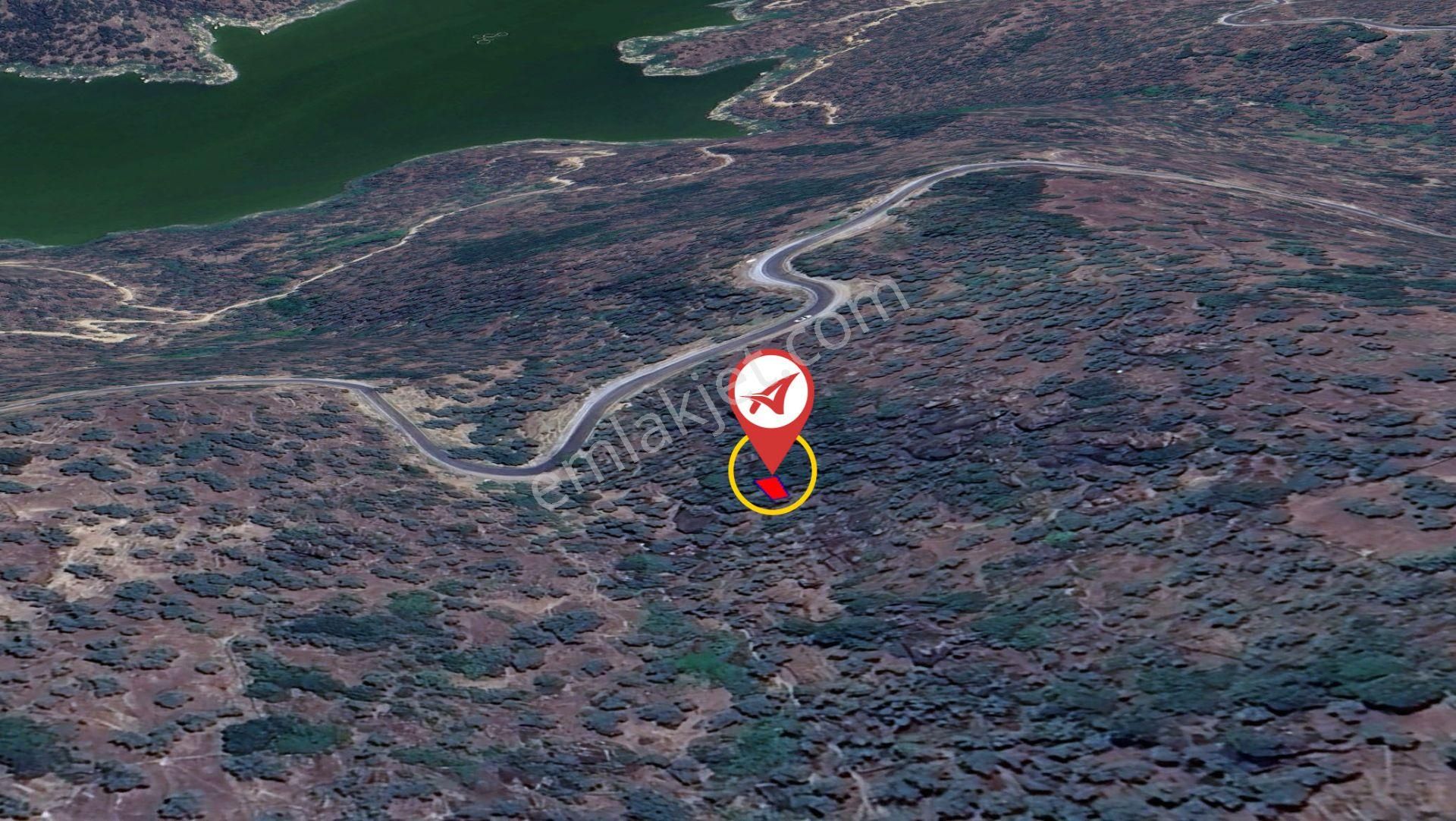 Aydın Karpuzlu Cumalar Satılık 40m2 Zeytinlik - Görsel 4