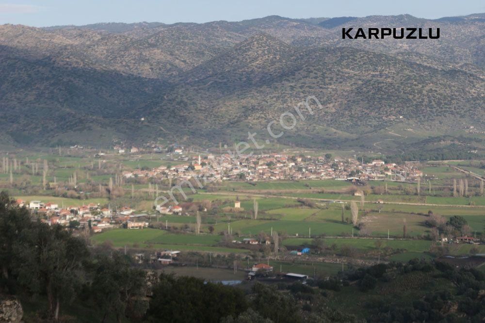 Aydın Karpuzlu Cumalar Satılık 40m2 Zeytinlik - Görsel 21