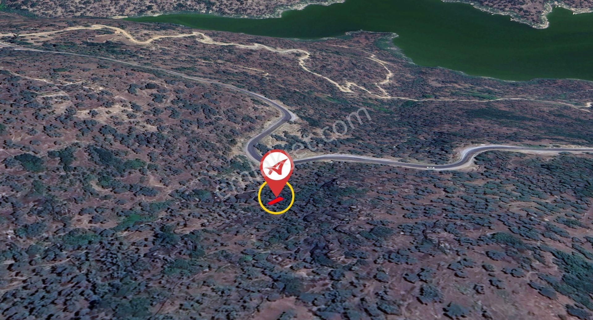 Aydın Karpuzlu Cumalar Satılık 40m2 Zeytinlik - Görsel 5