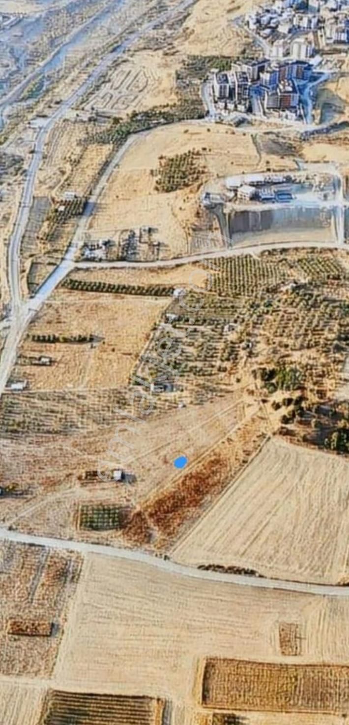 Ağabey Gayrimenkul'den Irlamaz Mahallesinde Satılık Arsa