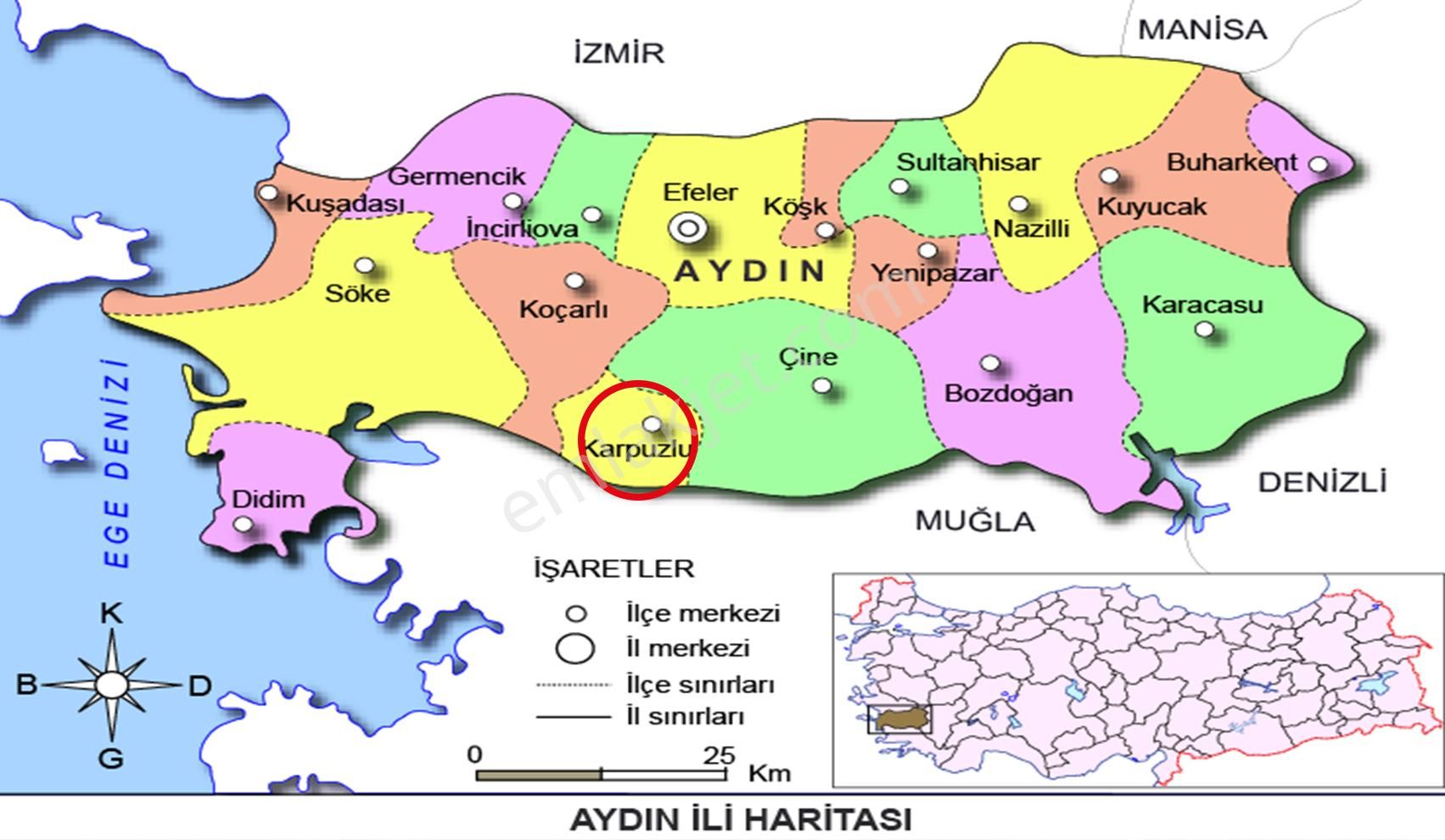 Aydın/karpuzlu/cumalar Satılık Zeytinlik 18m2 - Görsel 24