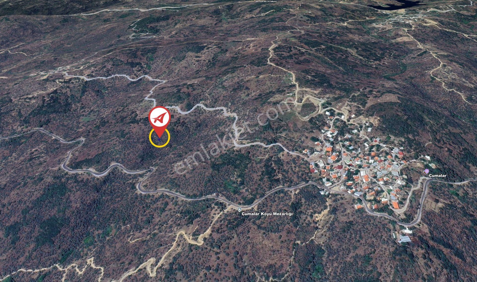 Aydın/karpuzlu/cumalar Satılık Zeytinlik 18m2 - Görsel 12