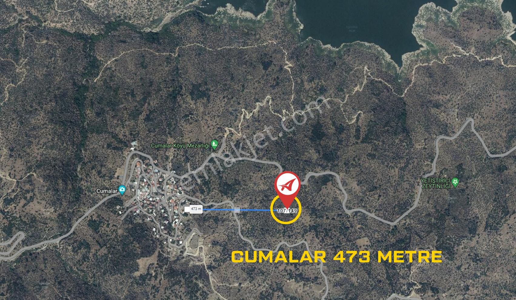 Aydın/karpuzlu/cumalar Satılık Zeytinlik 18m2 - Görsel 17