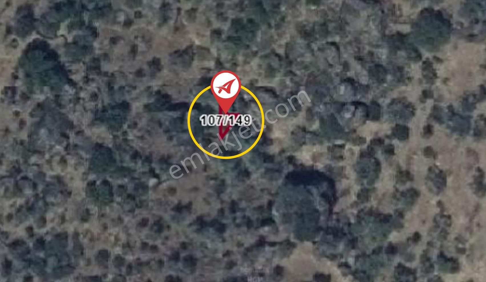 Aydın/karpuzlu/cumalar Satılık Zeytinlik 18m2 - Görsel 20