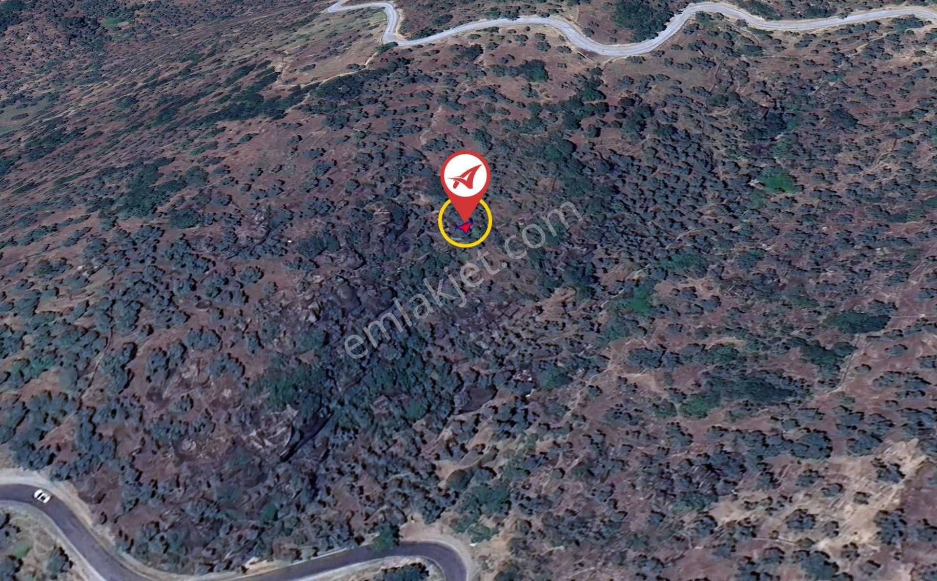 Aydın/karpuzlu/cumalar Satılık Zeytinlik 18m2 - Görsel 11