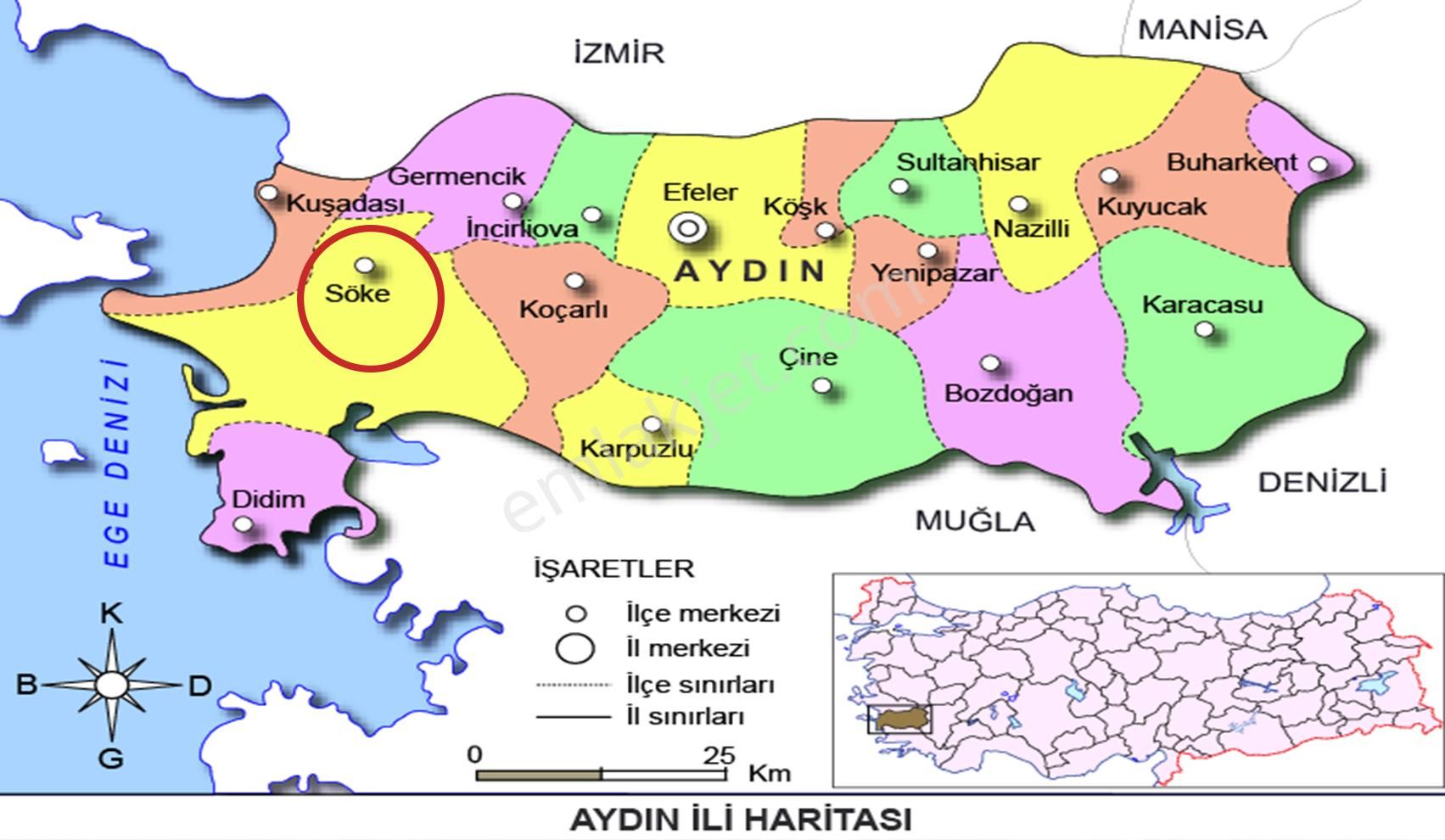 Aydın Söke Kaykıllı Satılık 4428m2 Zeytinlik - Görsel 22