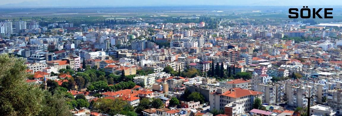 Aydın Söke Kaykıllı Satılık 4428m2 Zeytinlik - Görsel 8
