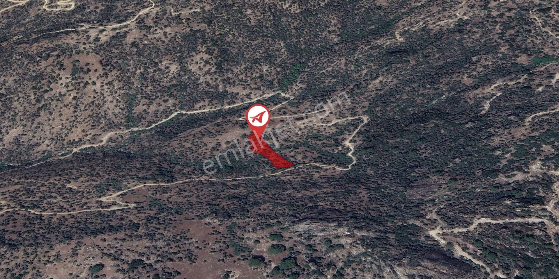 Aydın Söke Kaykıllı Satılık 4428m2 Zeytinlik - Görsel 11