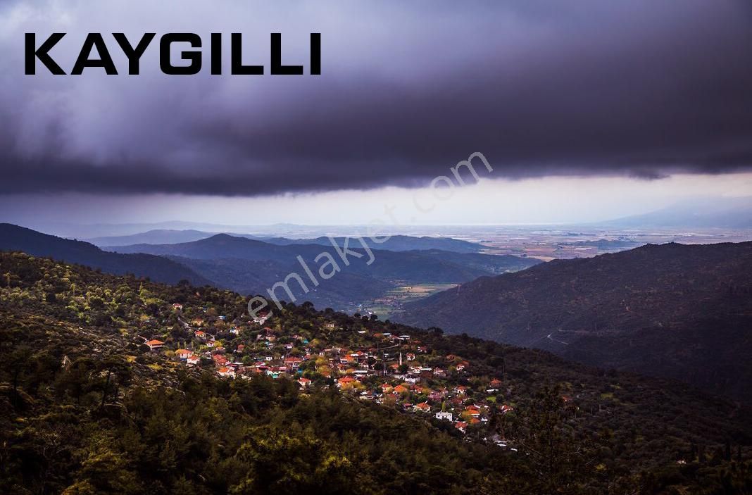 Aydın Söke Kaykıllı Satılık 4428m2 Zeytinlik - Görsel 21