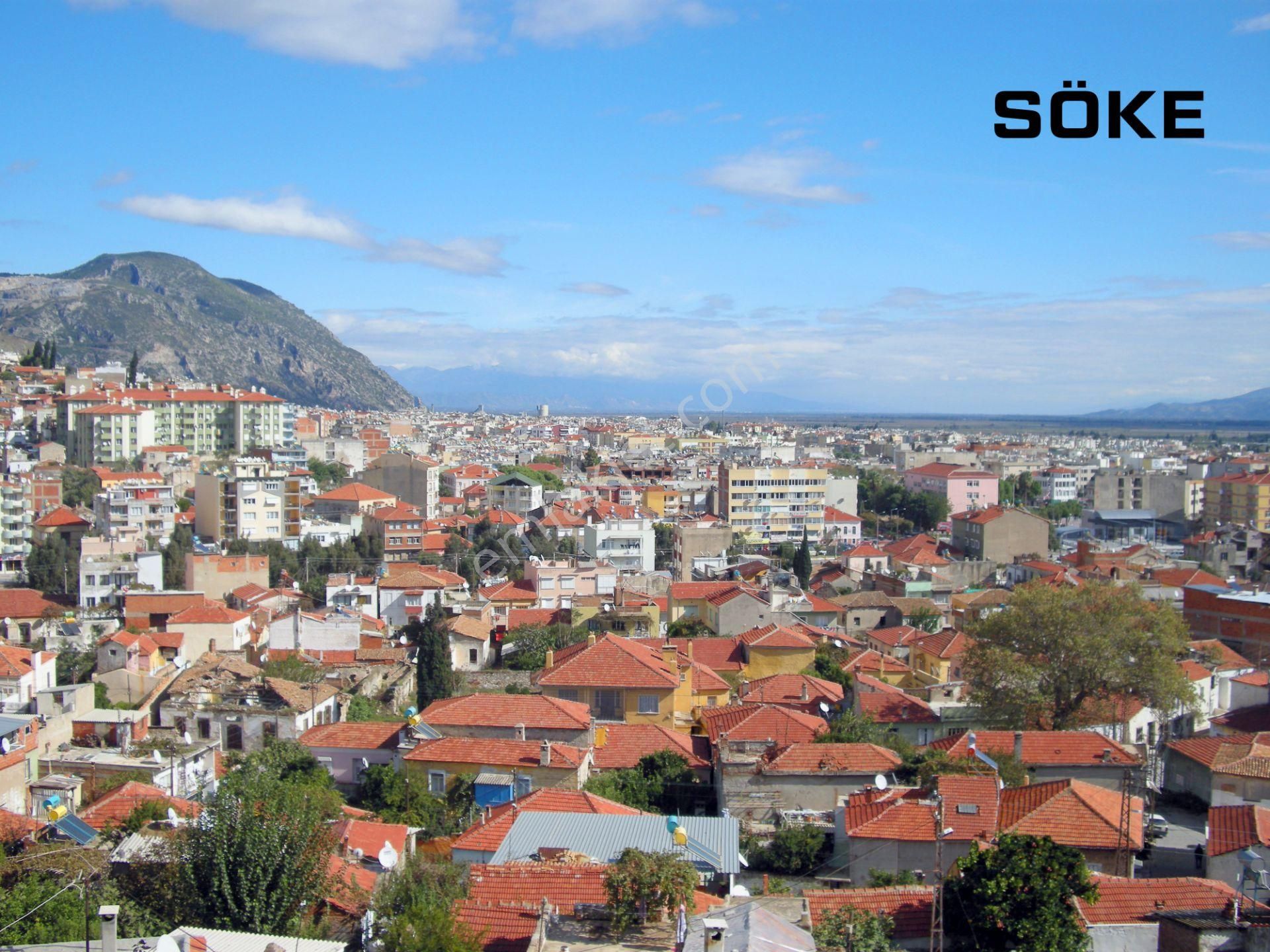 Aydın Söke Kaykıllı Satılık 4428m2 Zeytinlik - Görsel 7
