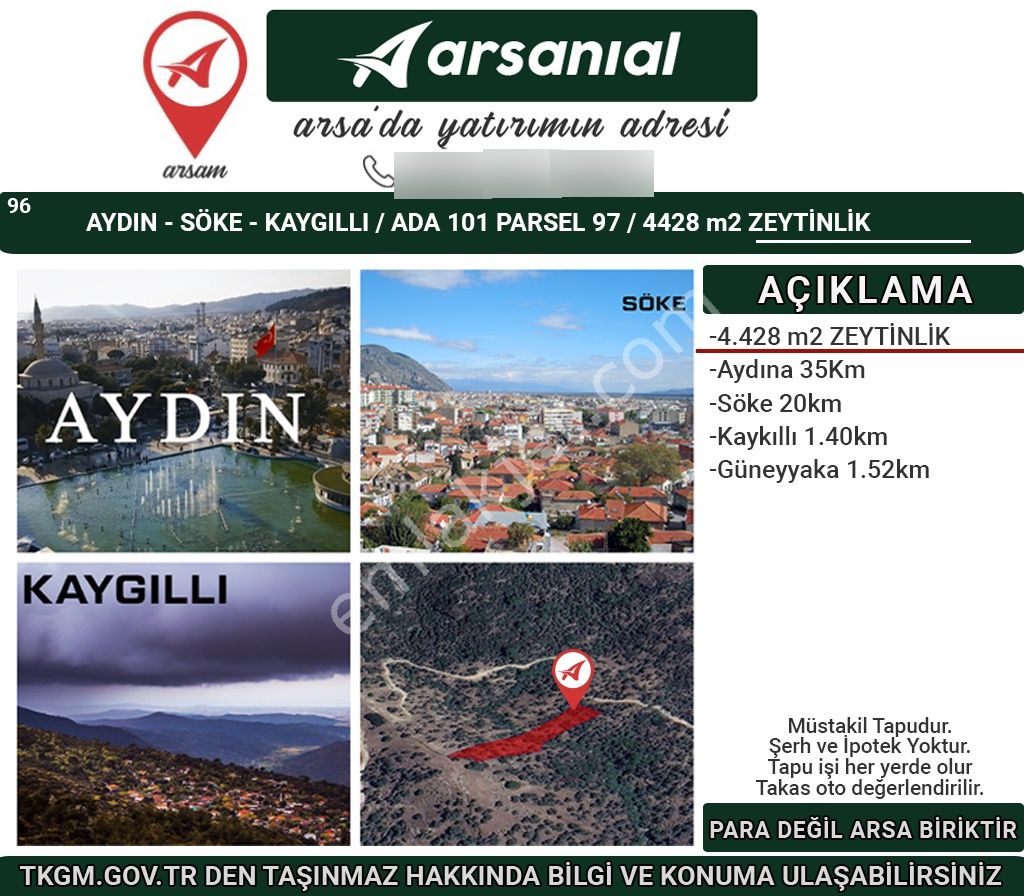 Aydın Söke Kaykıllı Satılık 4428m2 Zeytinlik