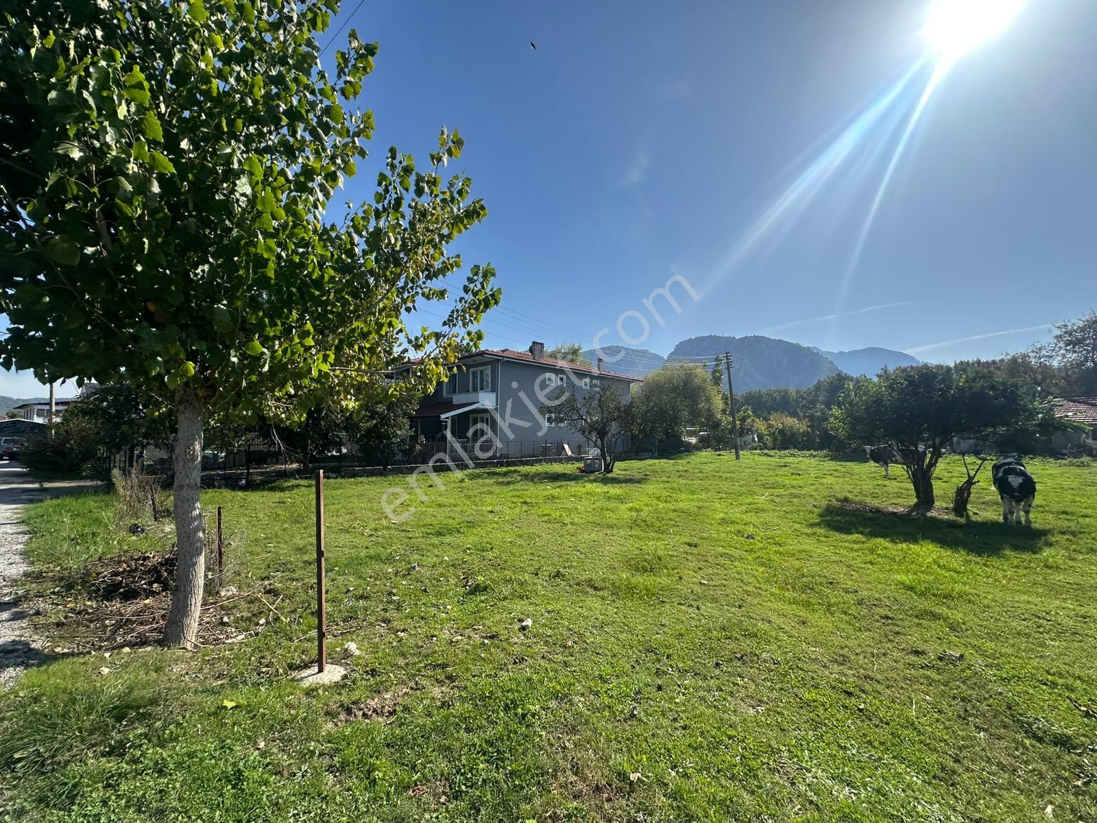 Ortaca Okçular Da Dağ Ve Doğa Manzaralı 955 M² Müstakil Arsa Satılık