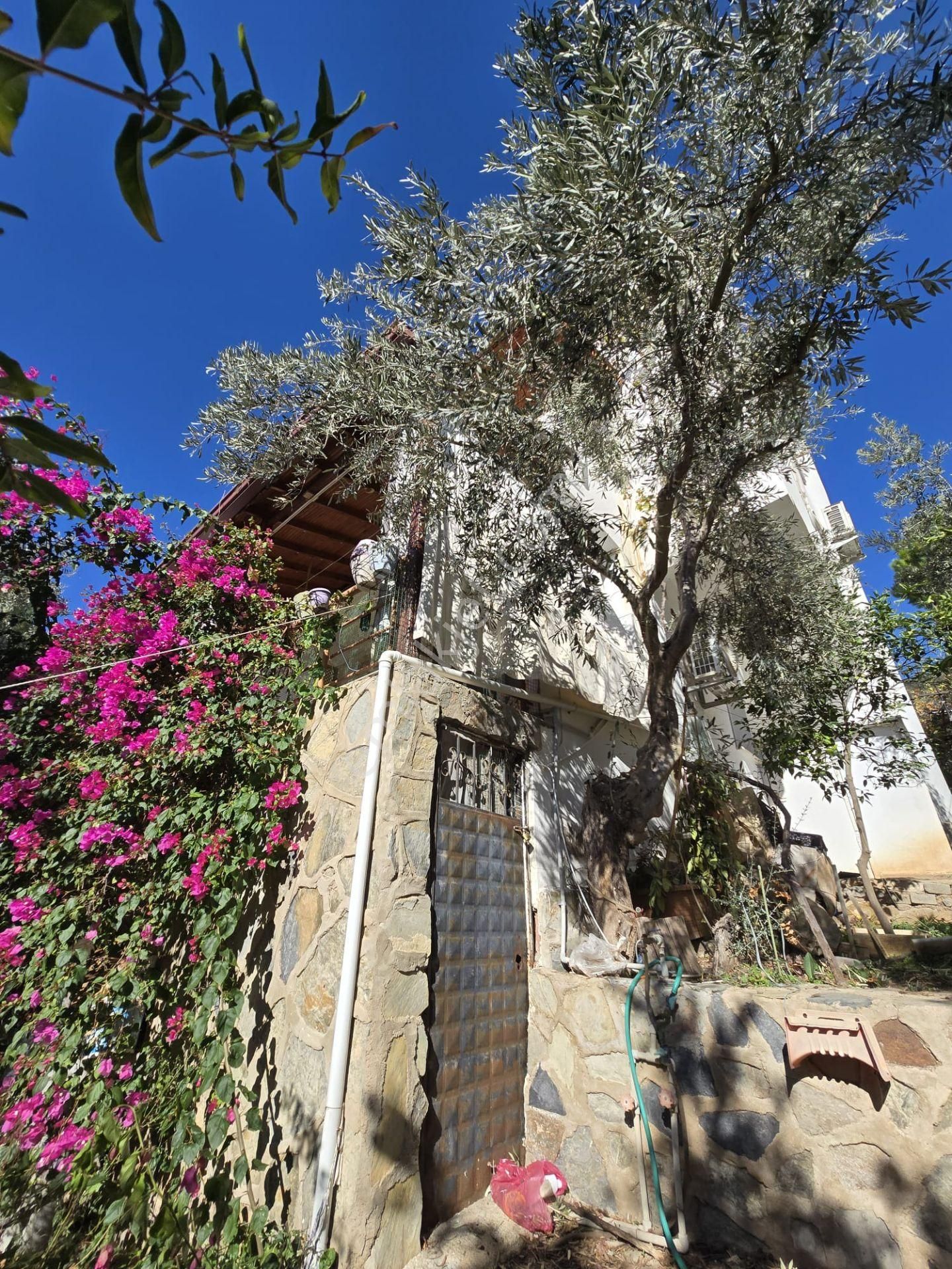 Satılık 3+1 Teraslı Villa Kendine Ait Bahçeli Denize 1100 M - Görsel 4