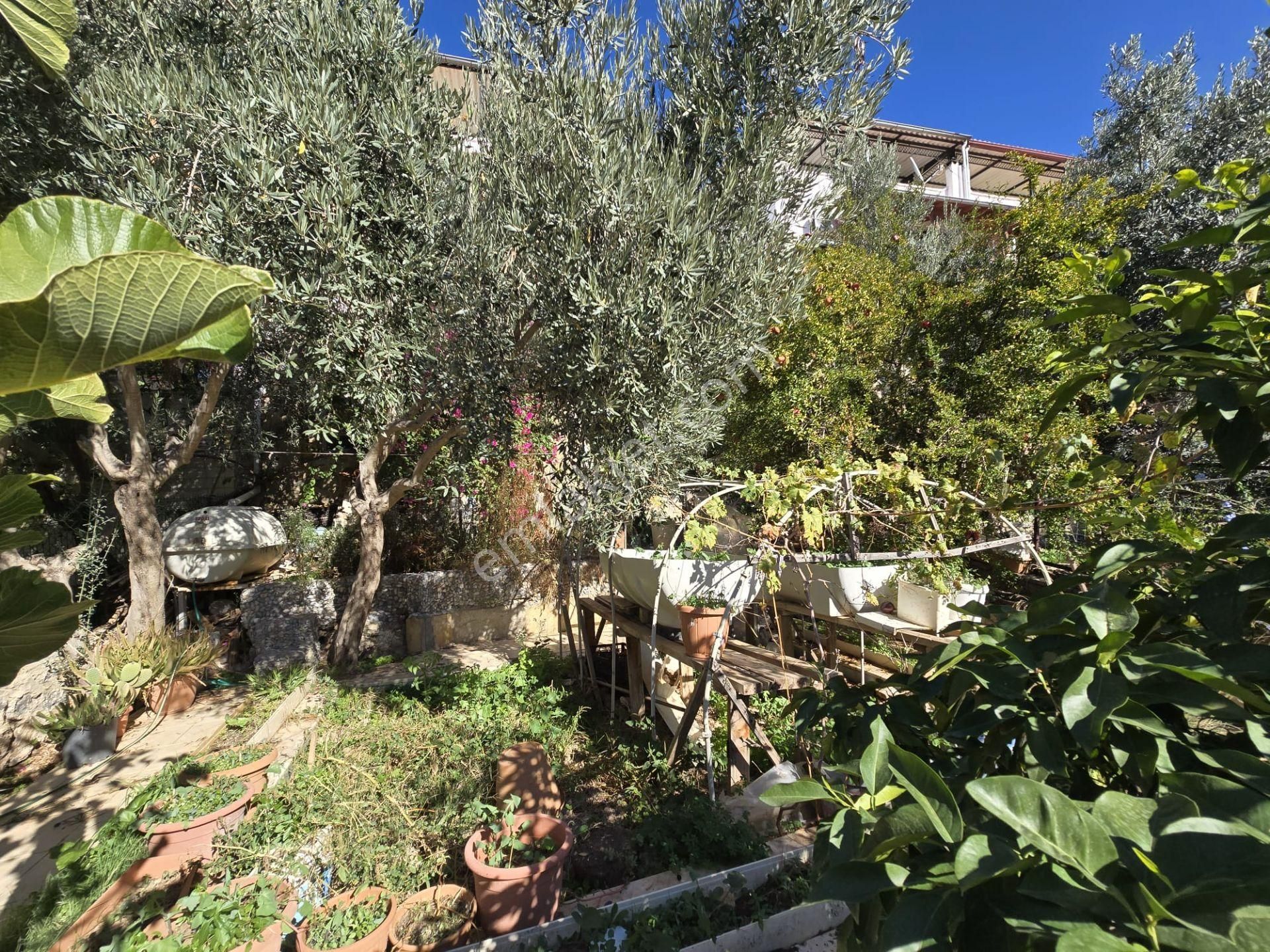 Satılık 3+1 Teraslı Villa Kendine Ait Bahçeli Denize 1100 M - Görsel 6