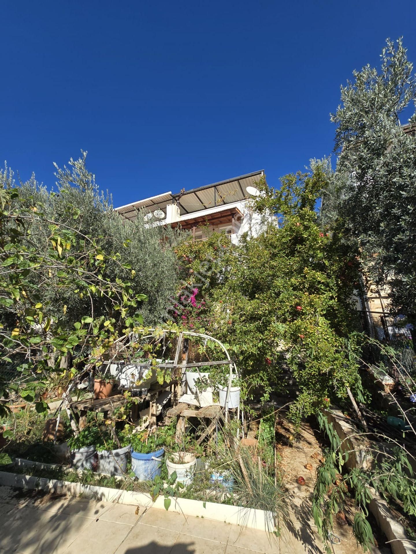 Satılık 3+1 Teraslı Villa Kendine Ait Bahçeli Denize 1100 M - Görsel 7