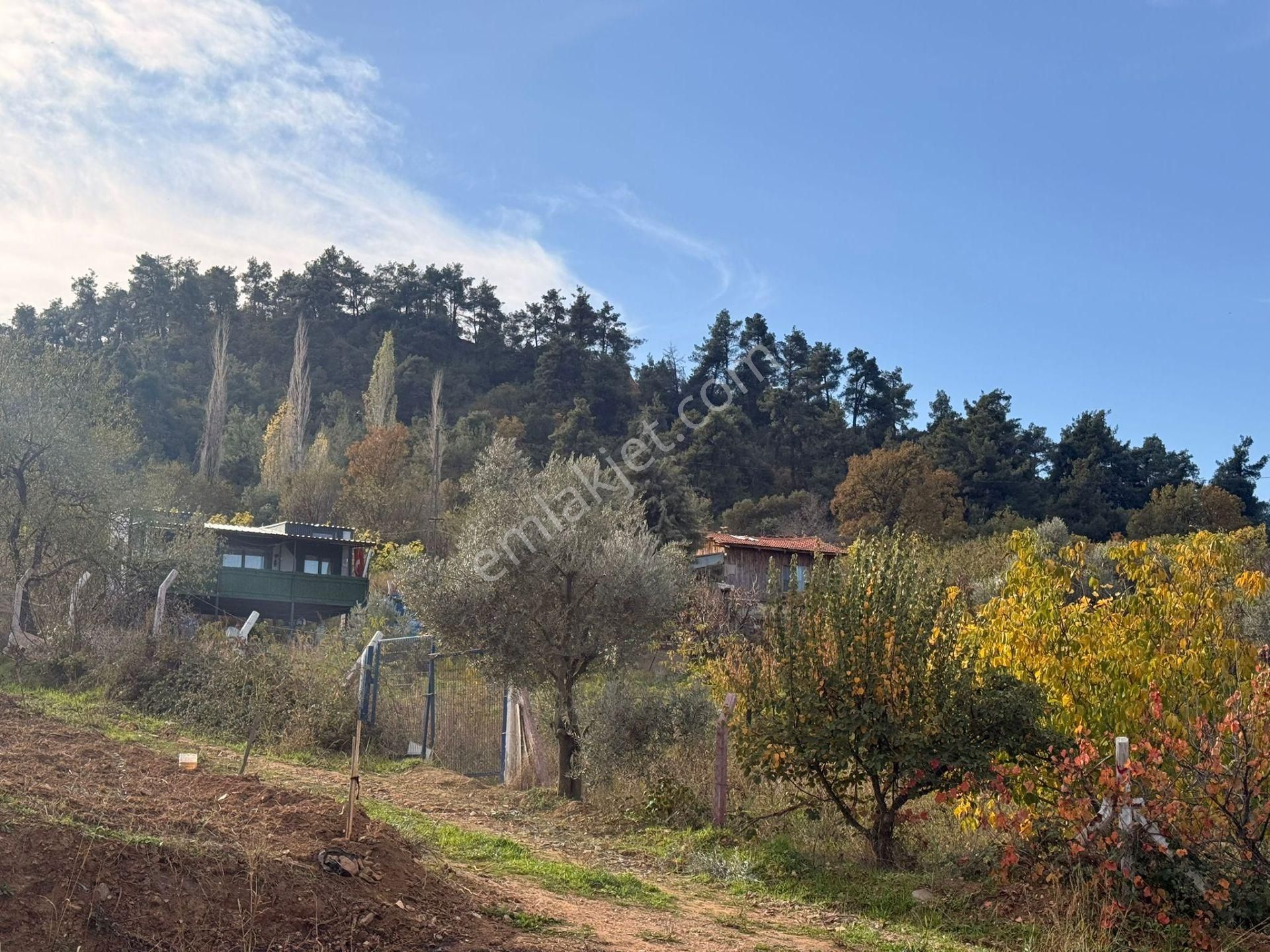 Ağabey Gayrimenkul'den Bozkır Mahallesinde Satılık Arsa - Görsel 17