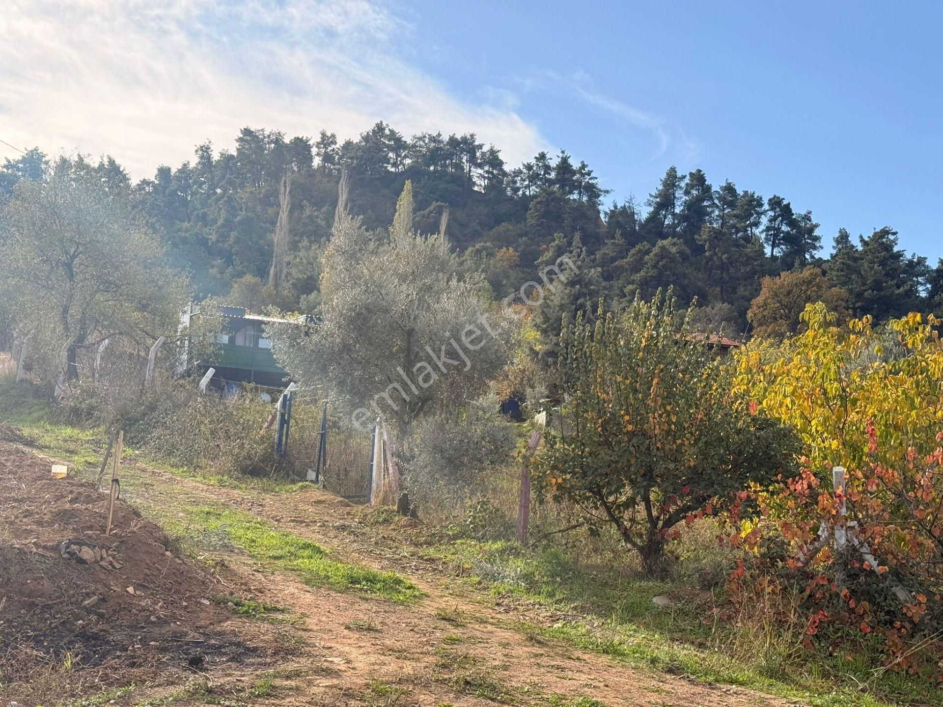 Ağabey Gayrimenkul'den Bozkır Mahallesinde Satılık Arsa - Görsel 8